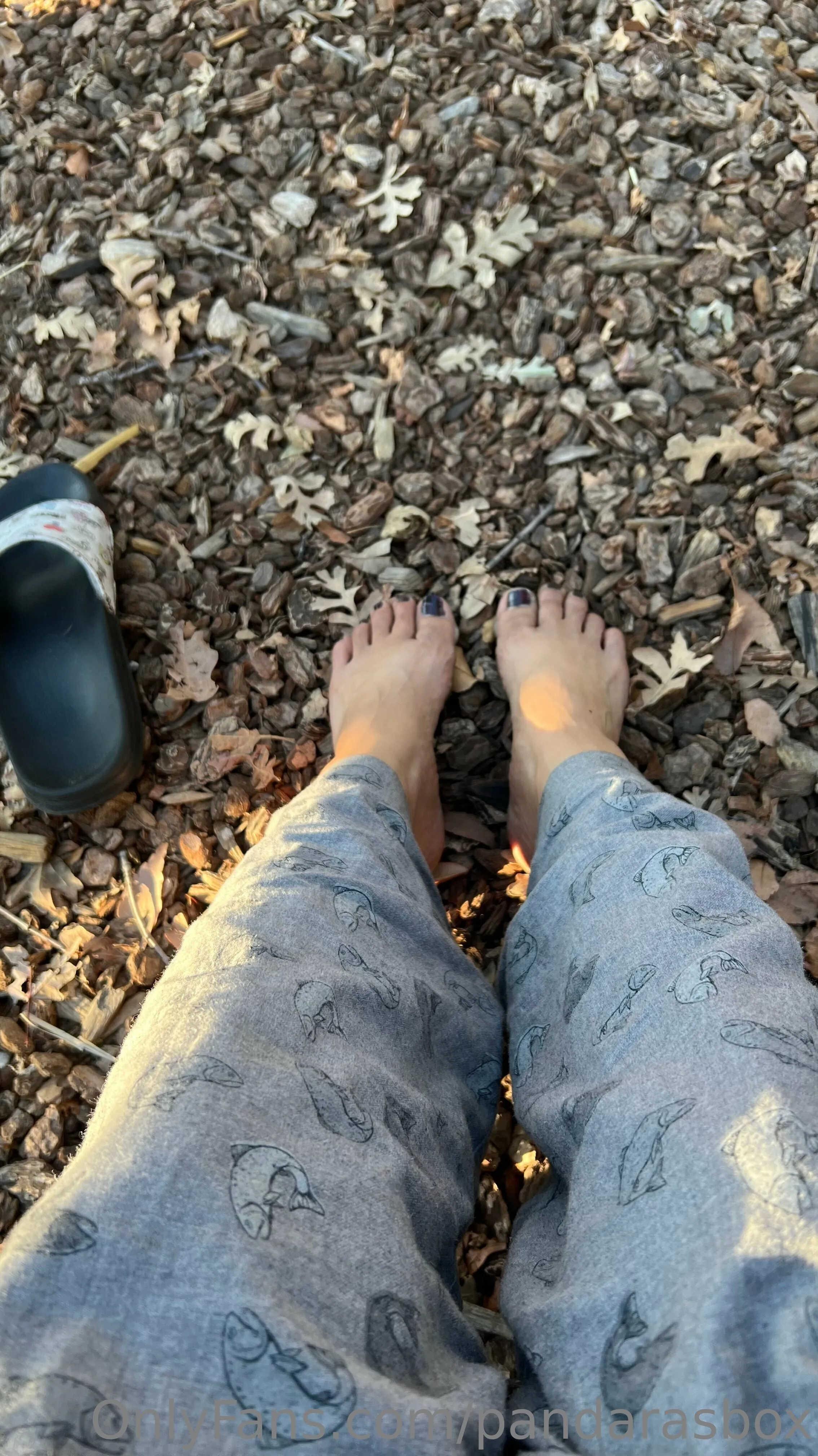 Pandara’s Box @pandarasbox in dad thinks im mom