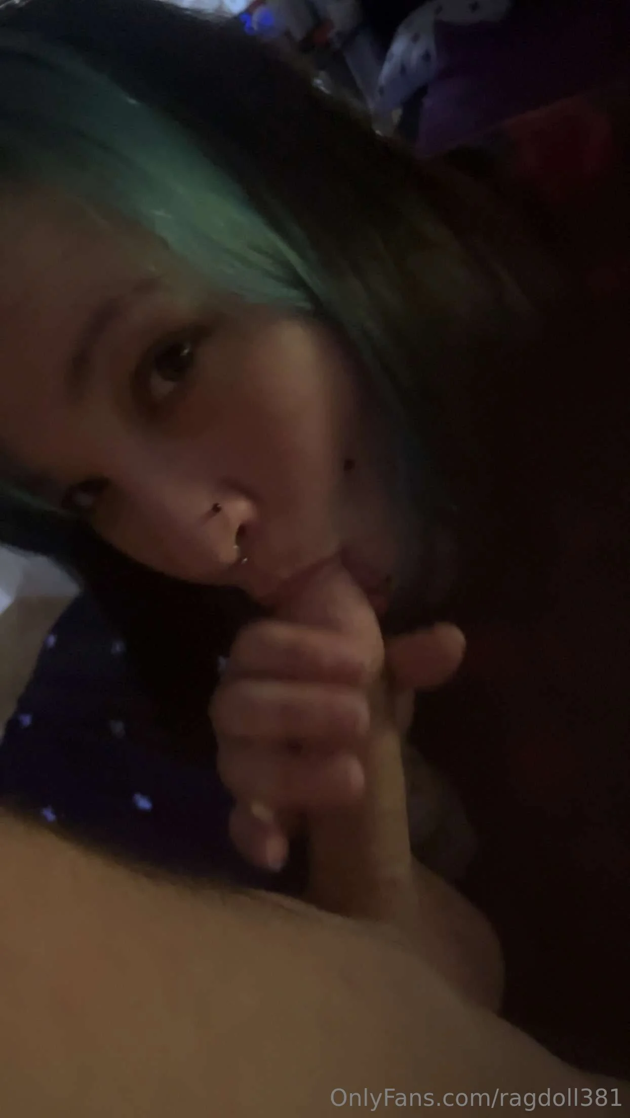 Ragdoll @ragdoll381 pornography
