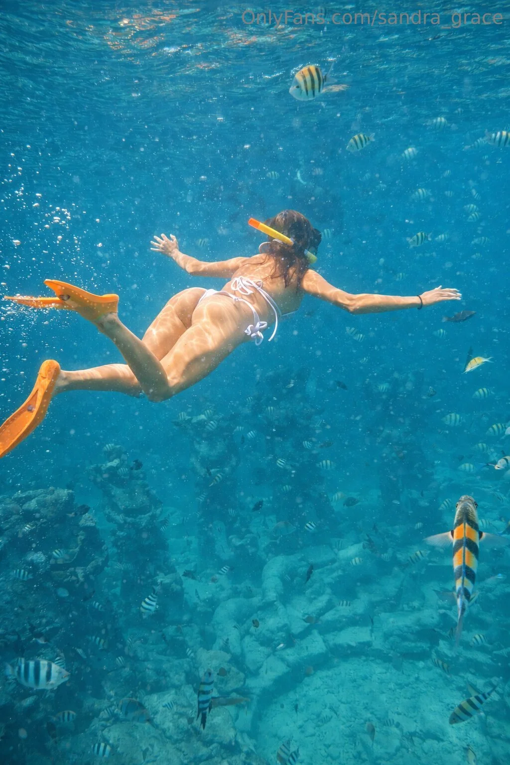 SANDRA @sandra_grace adult career