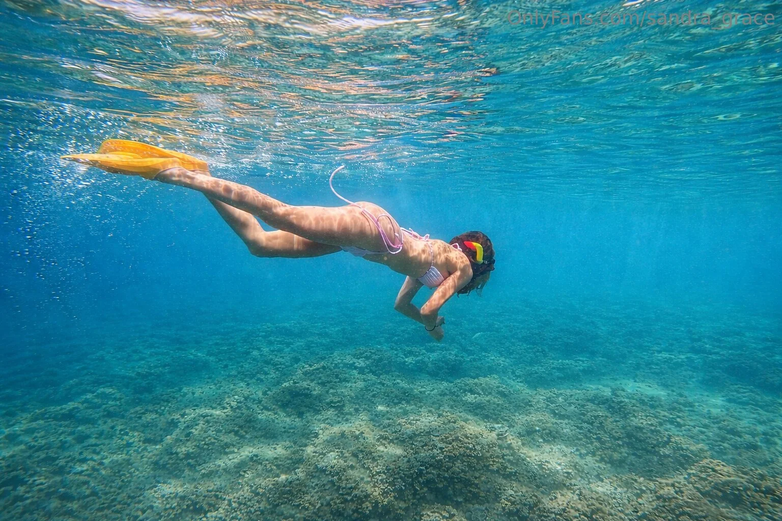 SANDRA @sandra_grace genes script