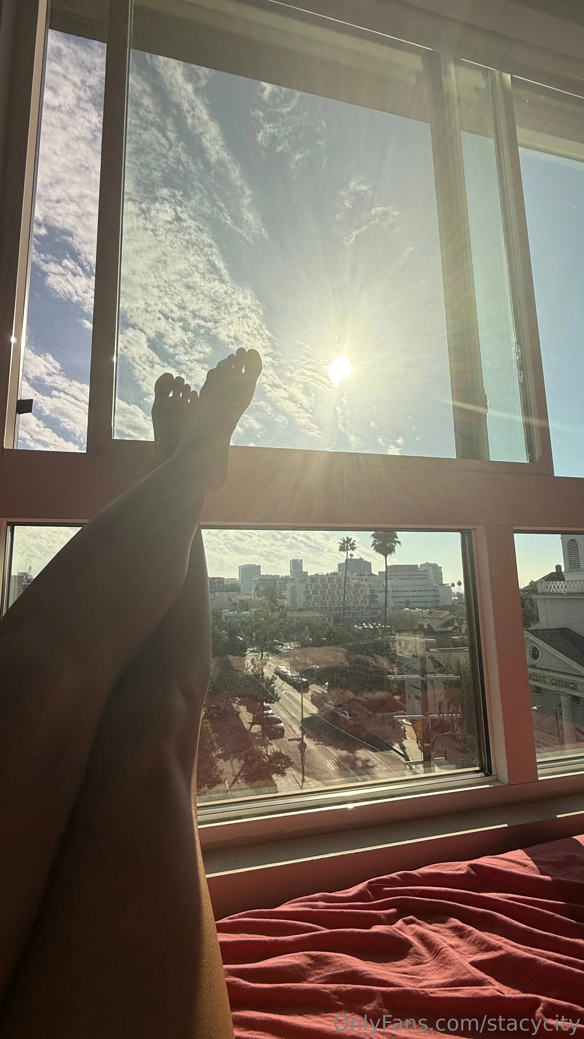 Stacy City @stacycity ana de armas and sex