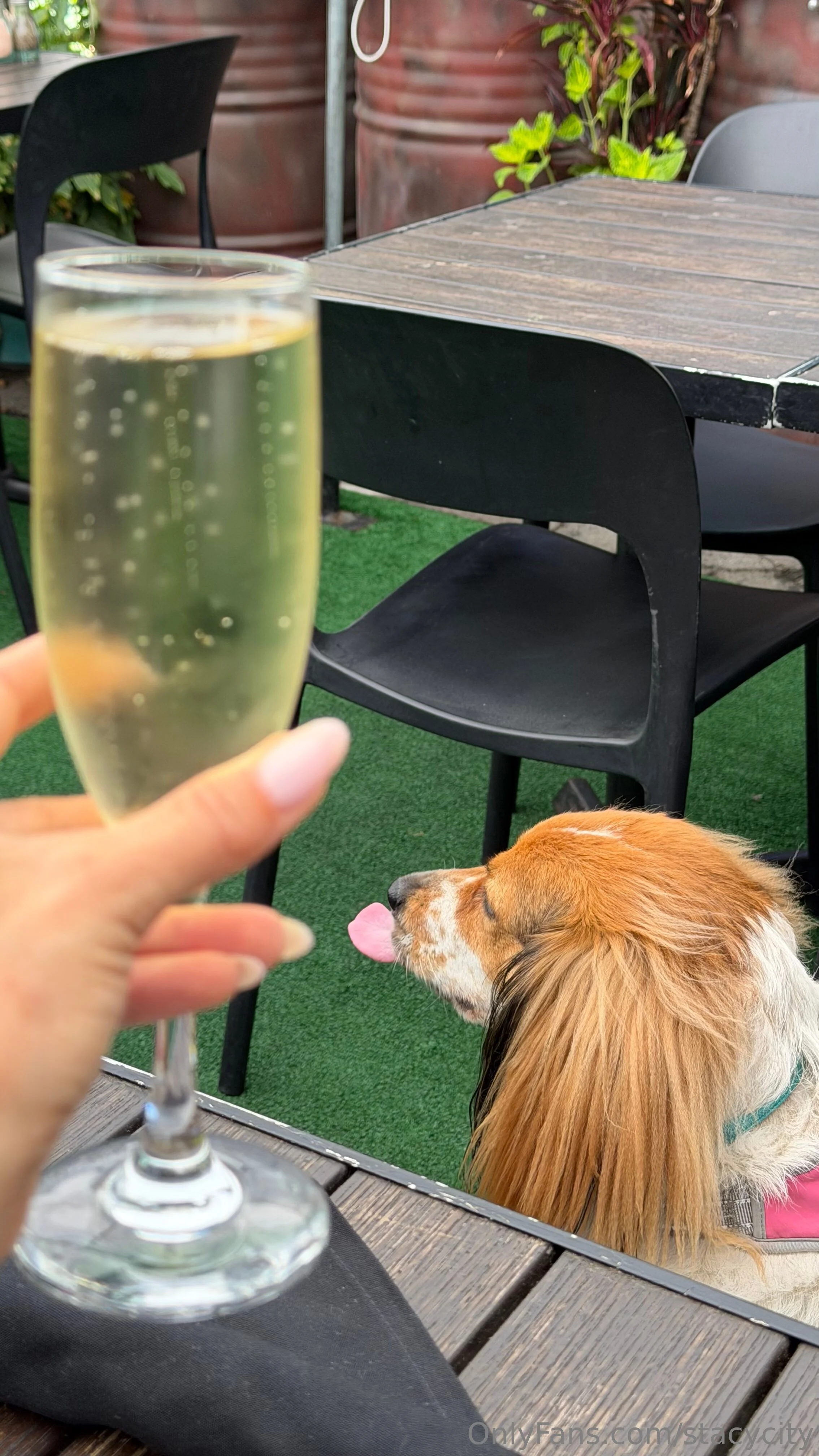 Stacy City @stacycity ahegao