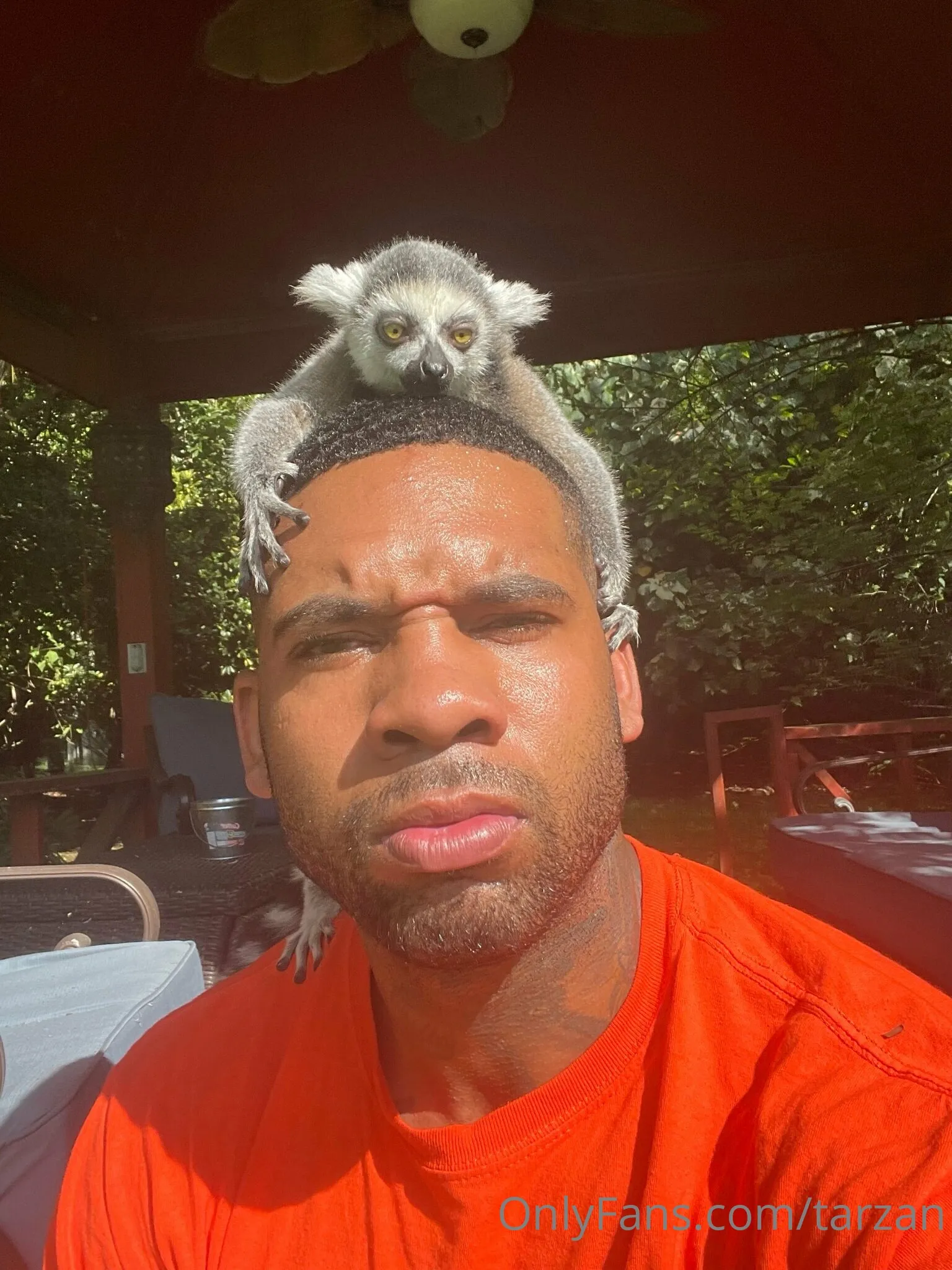 The Real Tarzann porns