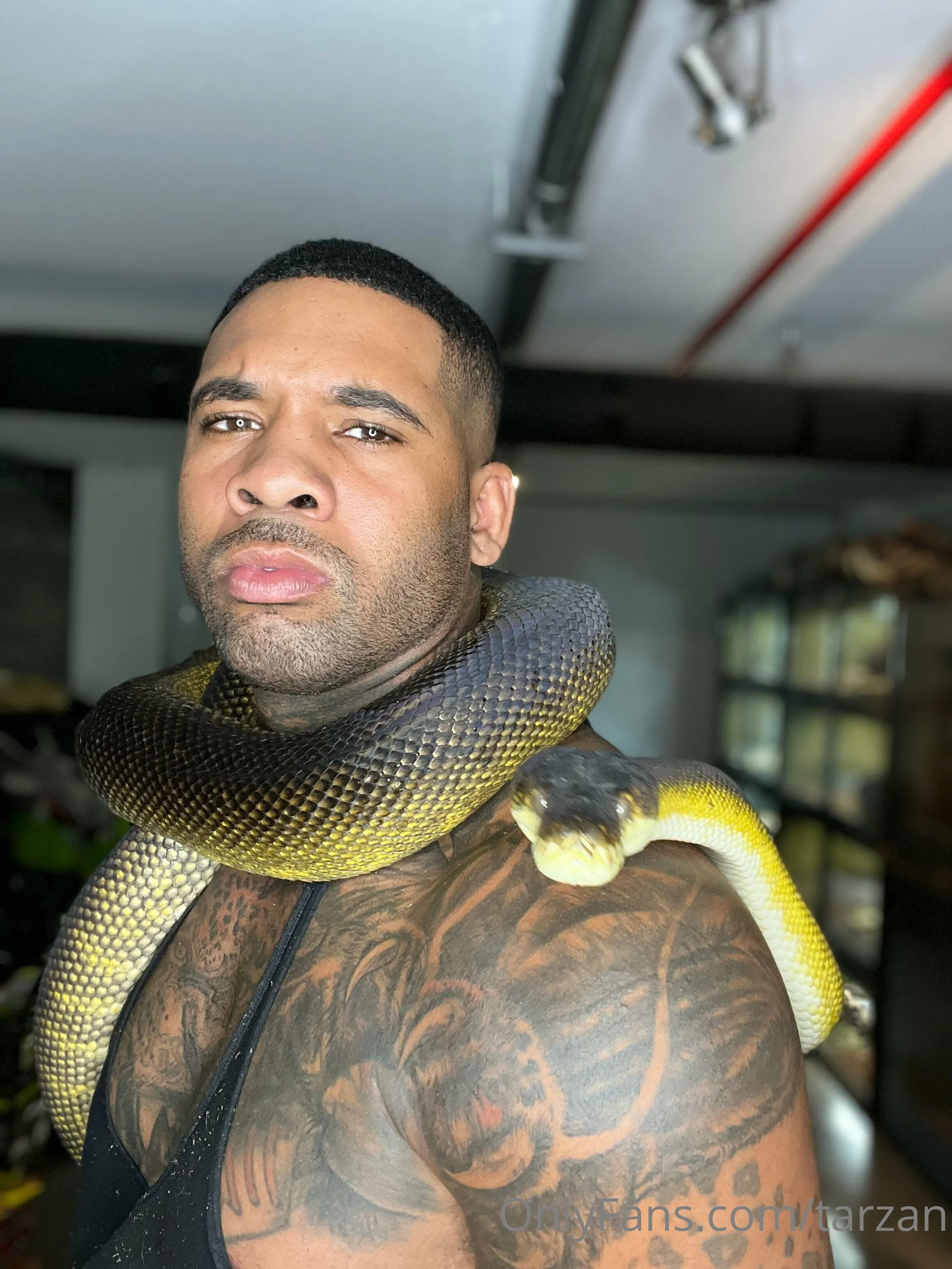 The Real Tarzann @tarzan incest