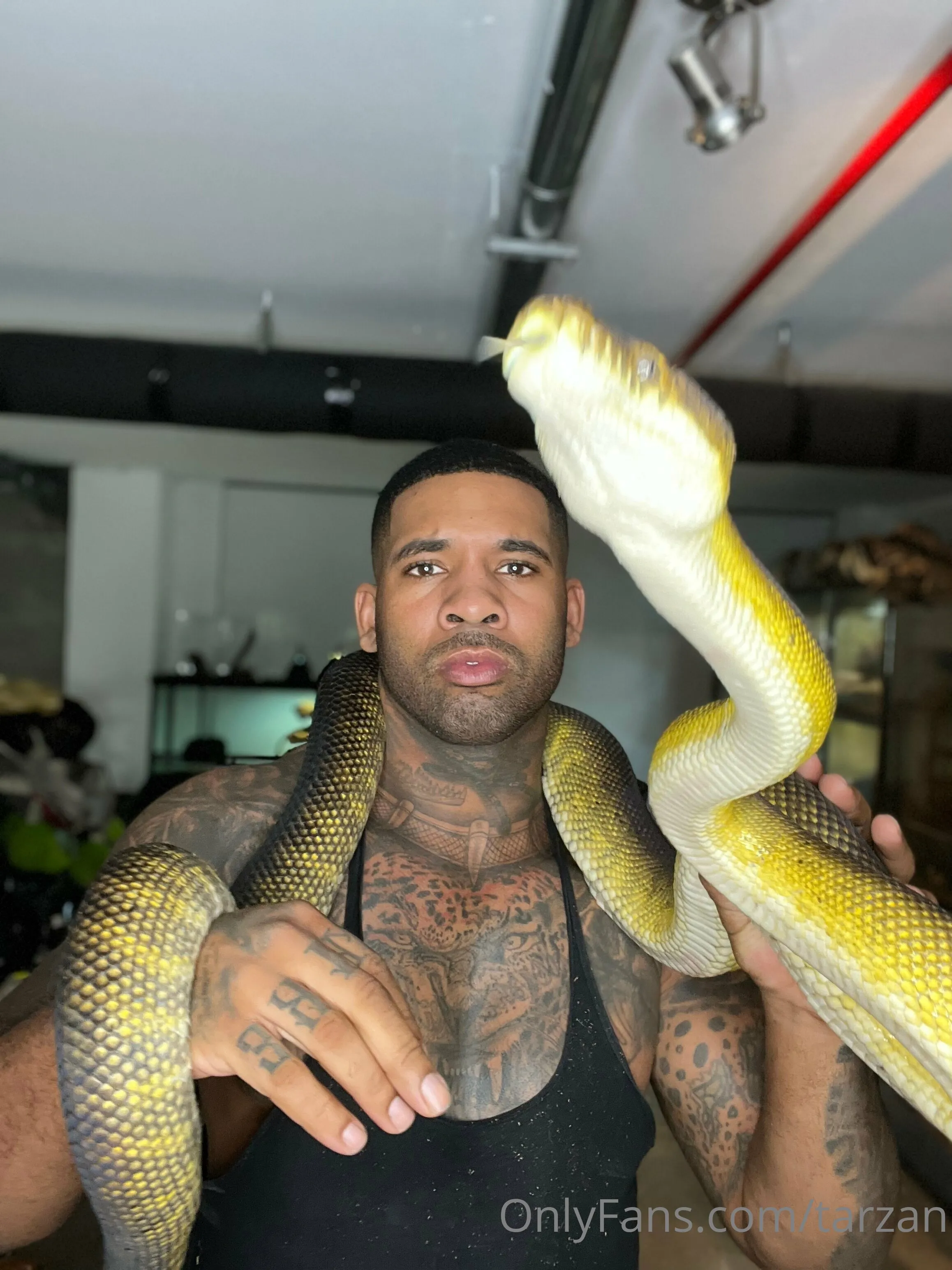 The Real Tarzann @tarzan in dad thinks im mom