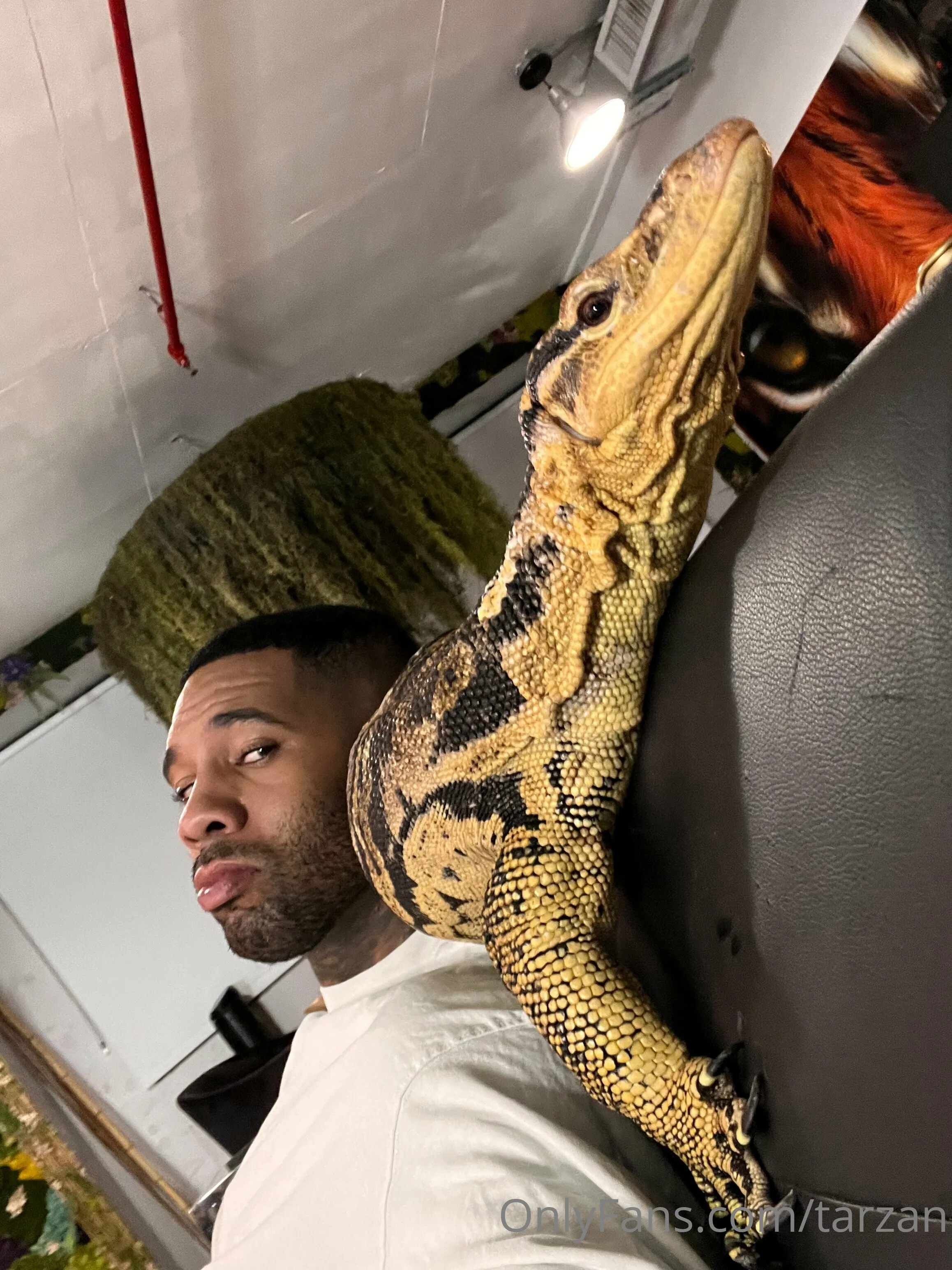 The Real Tarzann @tarzan hd videos