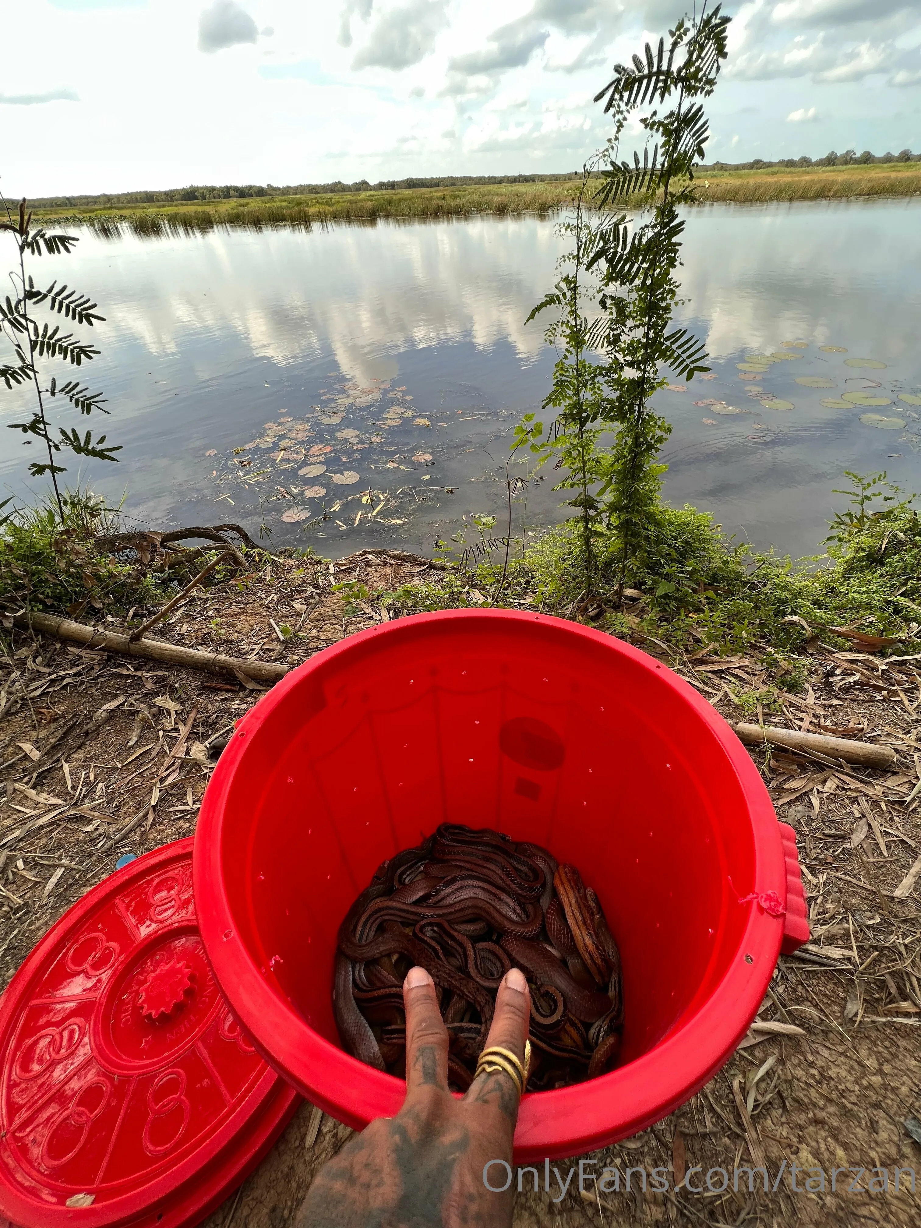 The Real Tarzann @tarzan anal porn