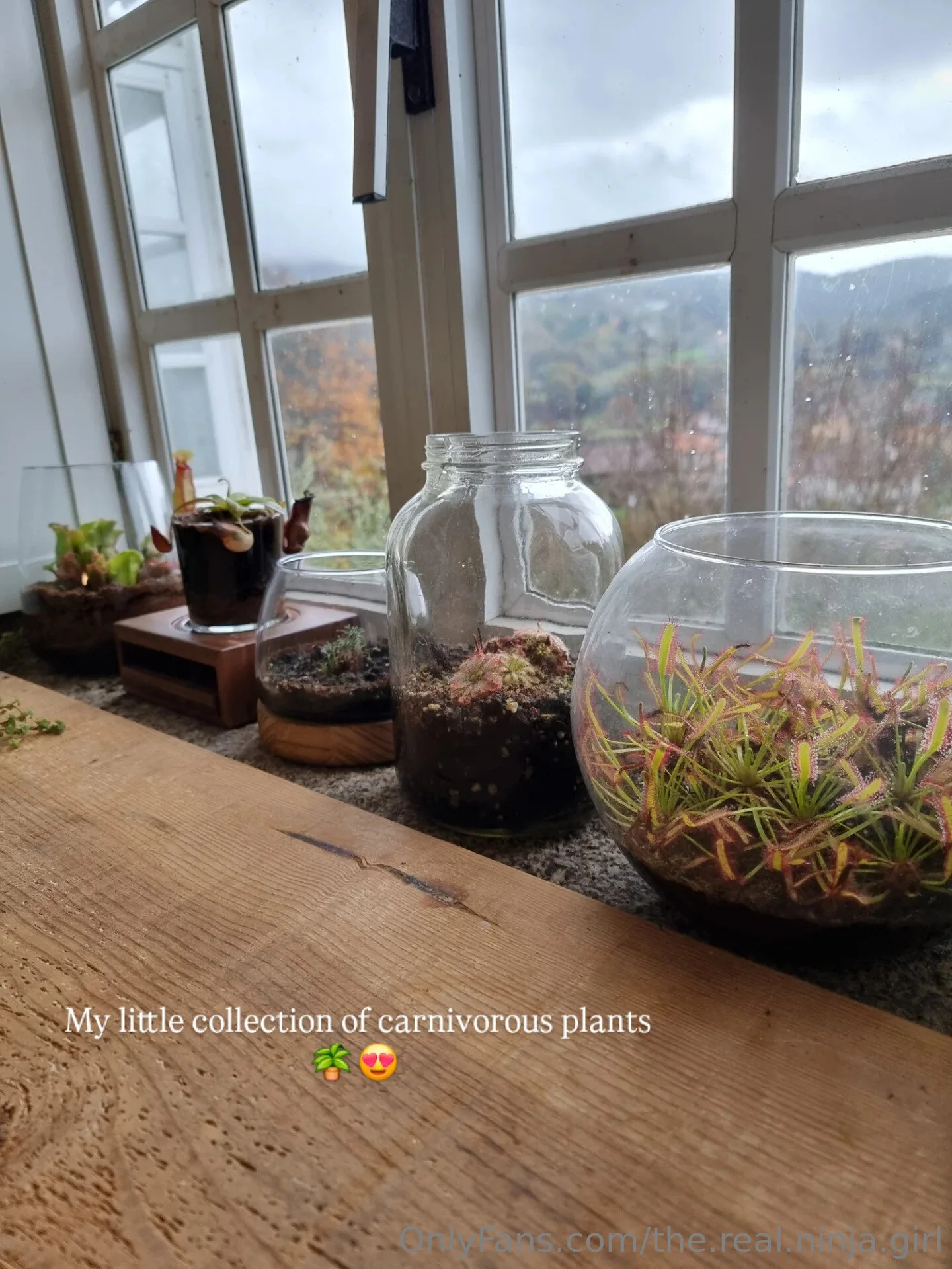 The Real Ninja Girl 🥷🔥