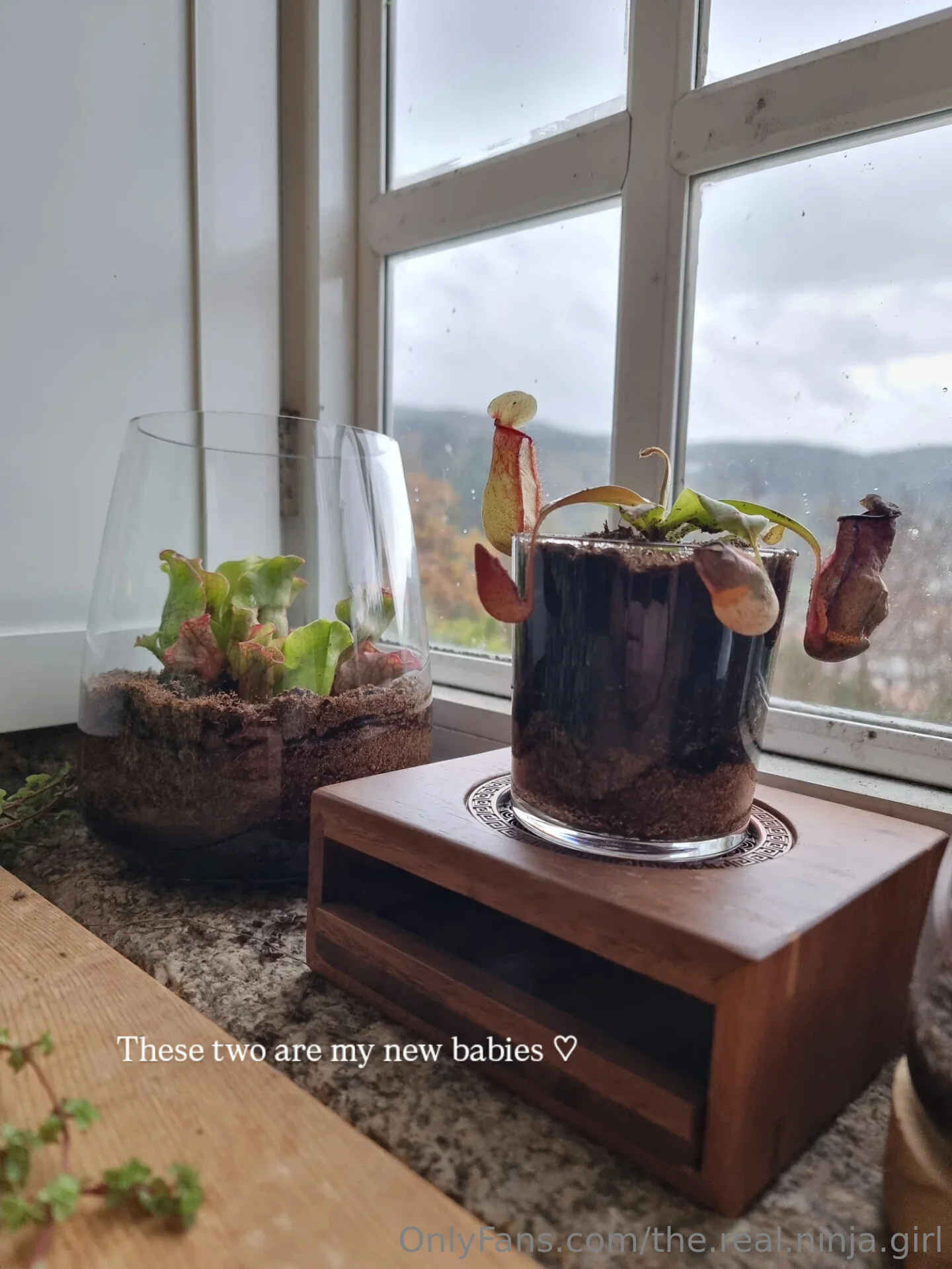 The Real Ninja Girl 🥷🔥