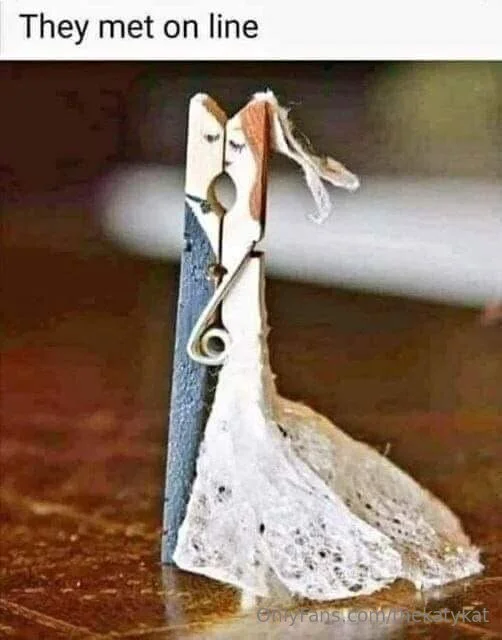 🍀🍀 Katy Kat 🍀🍀 @thekatykat sorry for having great and correct opinions shirt