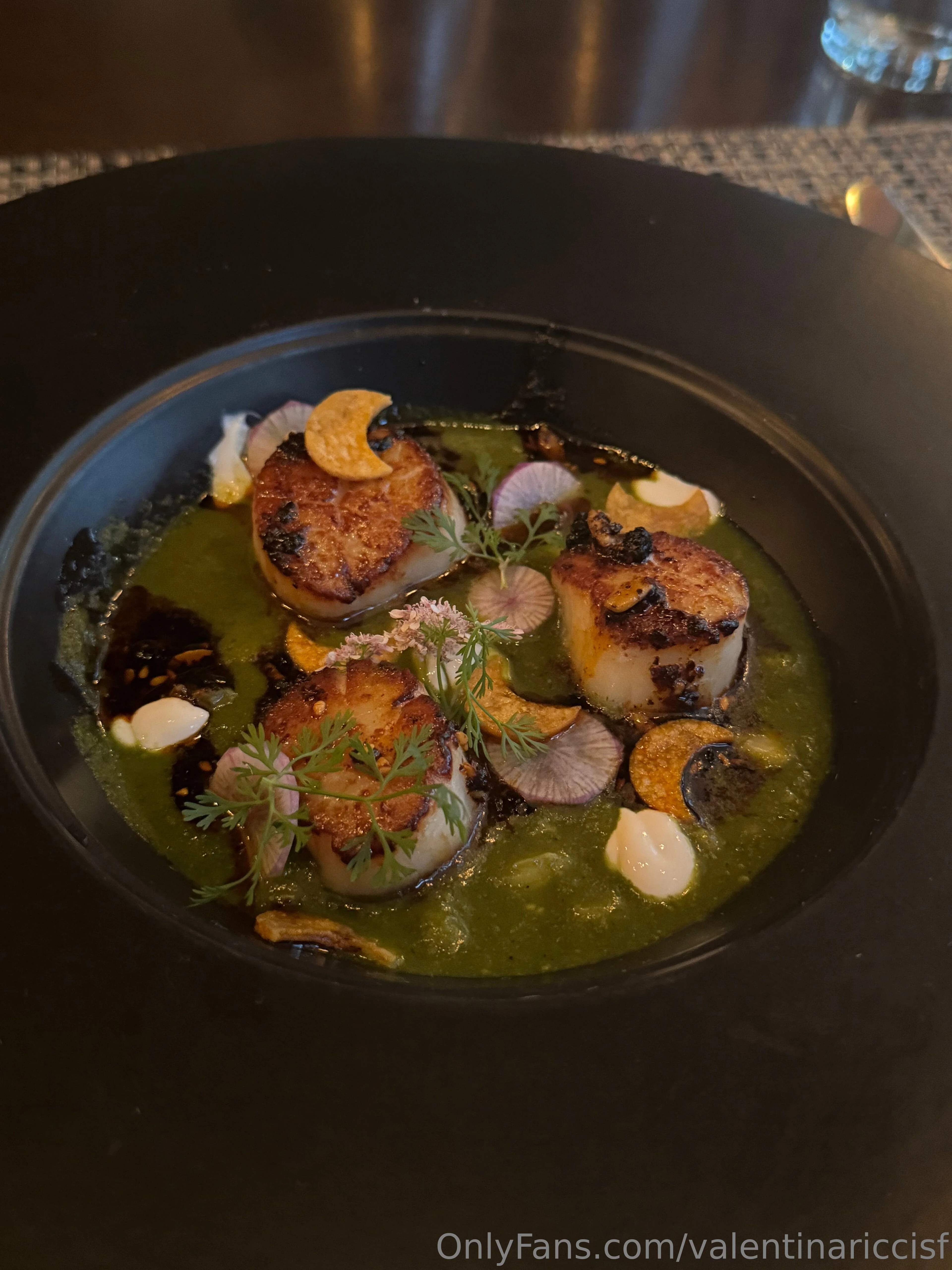 Valentina Ricci | SF hd videos