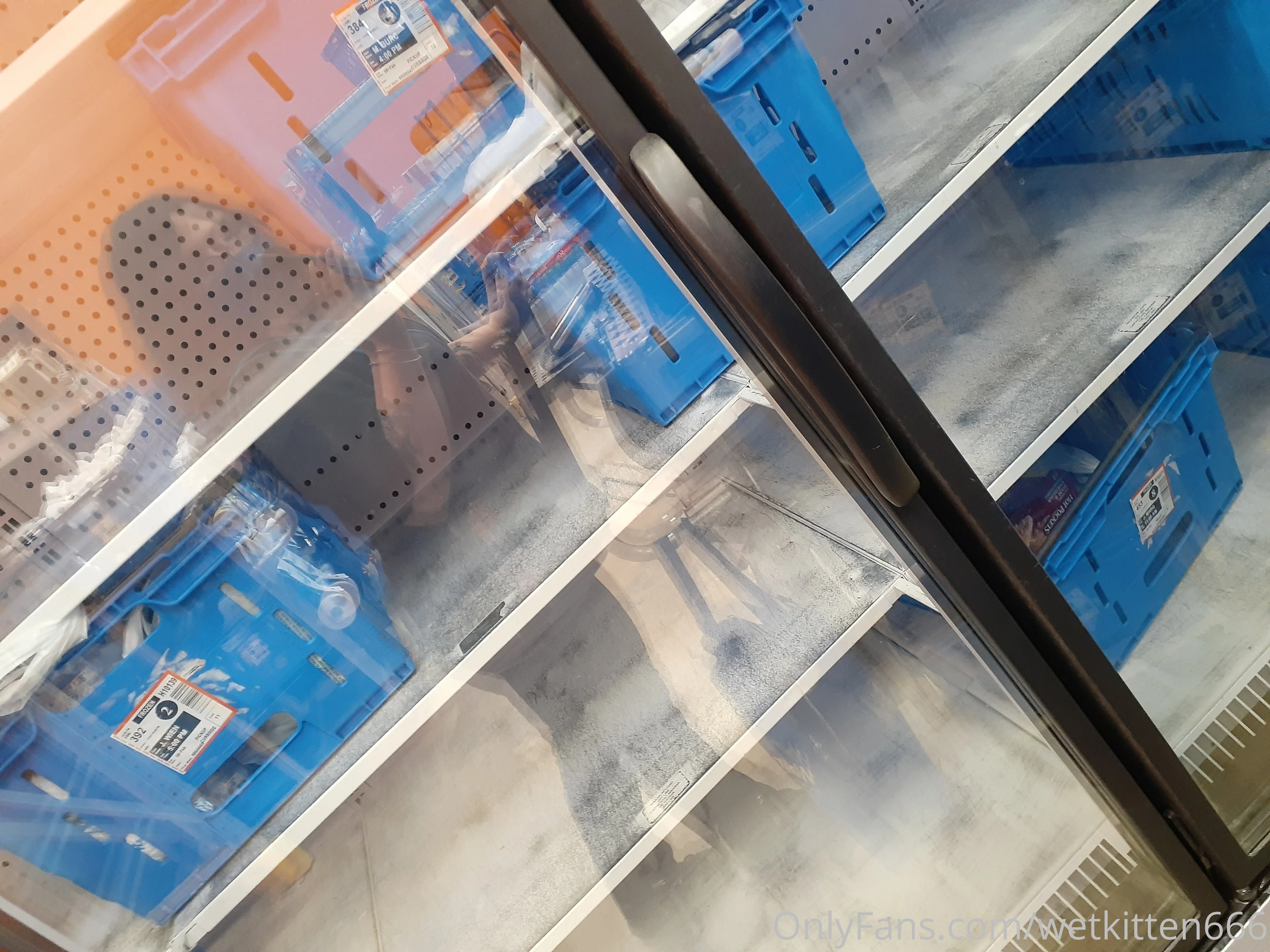 Wetkitten666 onlyfans porn