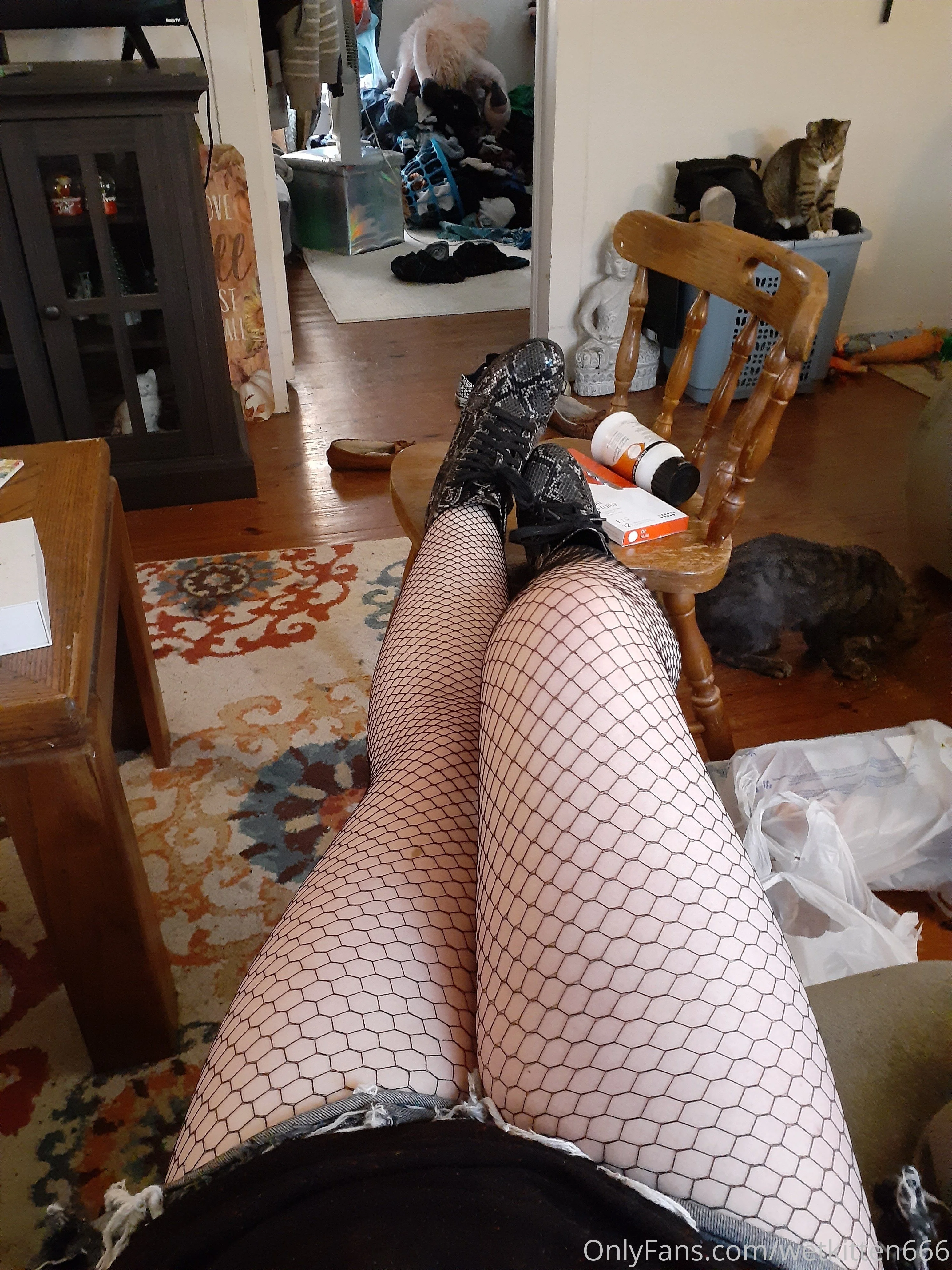 Wetkitten666 leaked porn