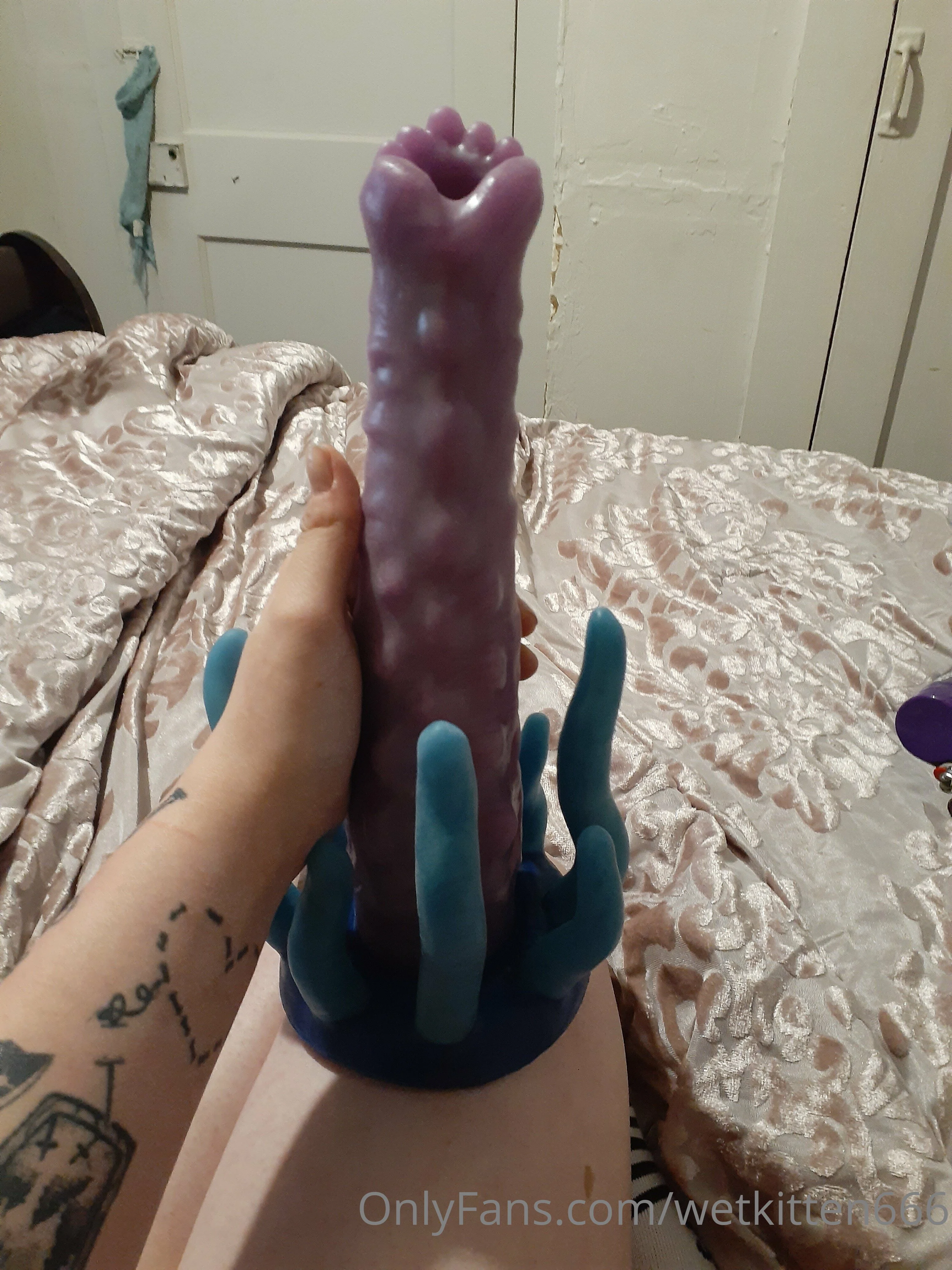 Wetkitten666 nude leaked