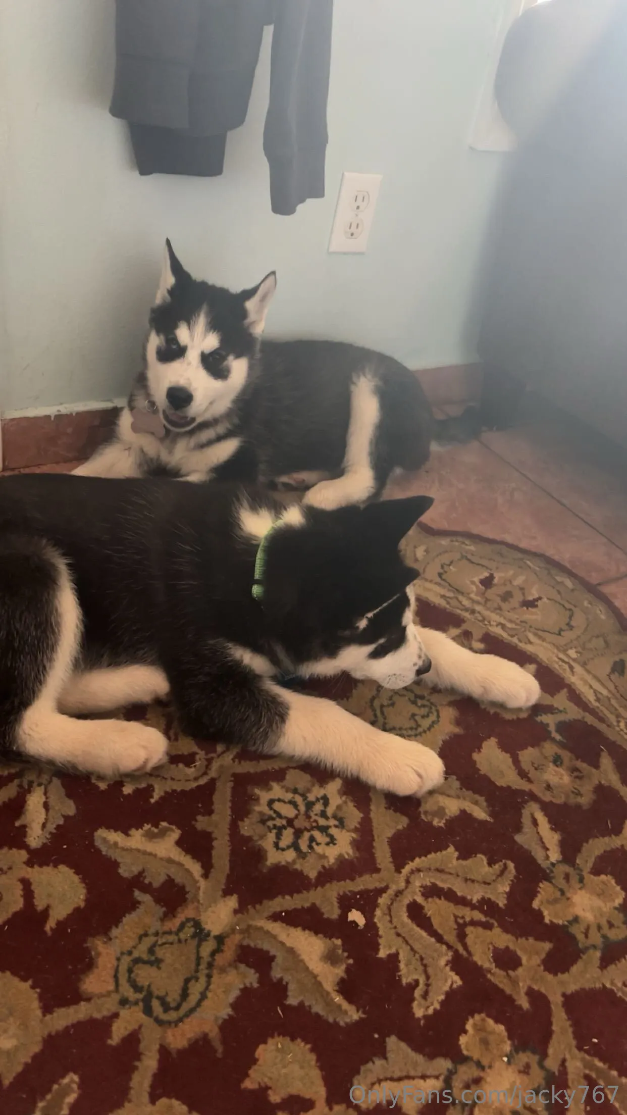 Jacky @jacky767 thong