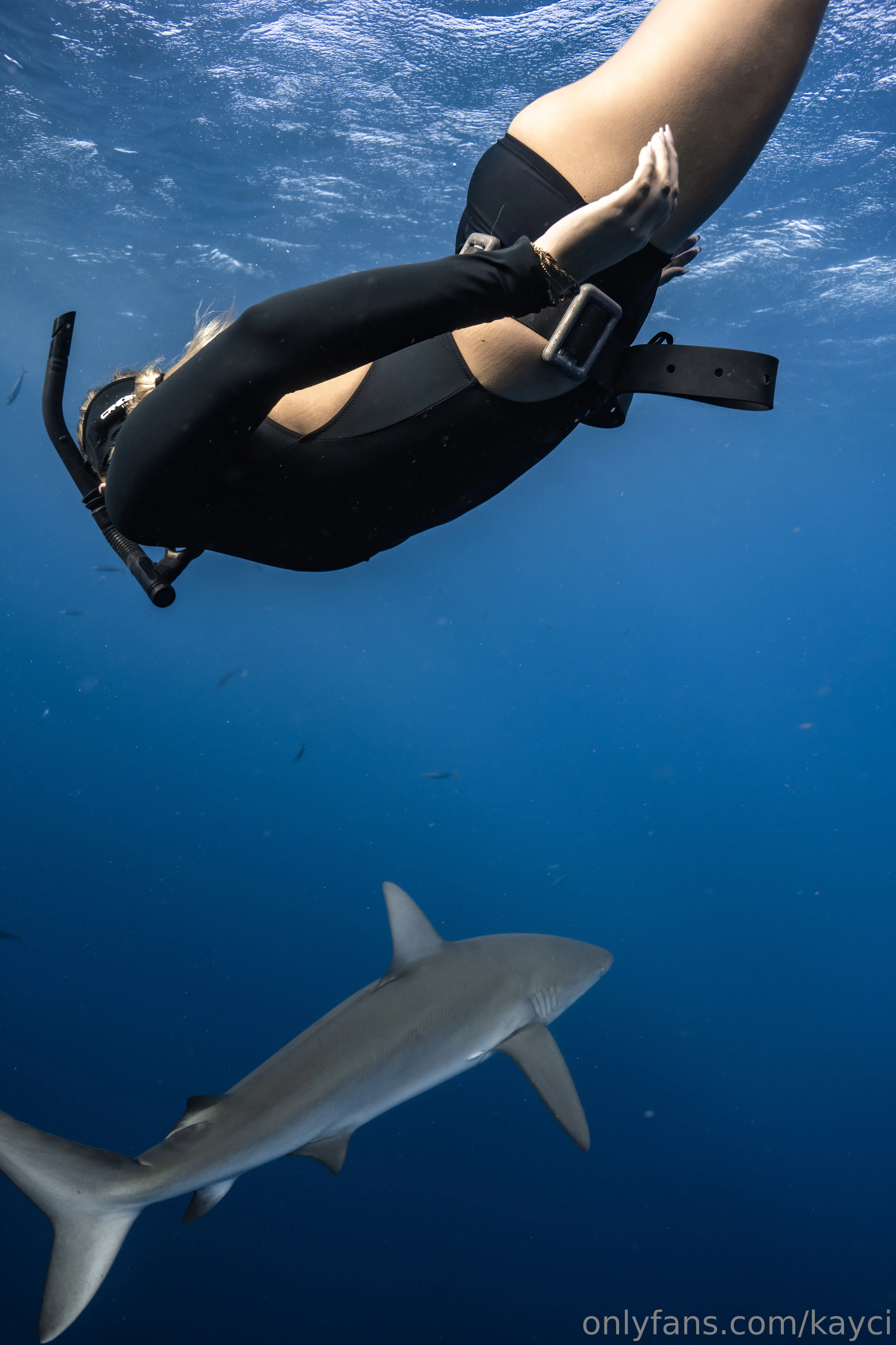 K A Y C I 🩷 K A Y L A N I