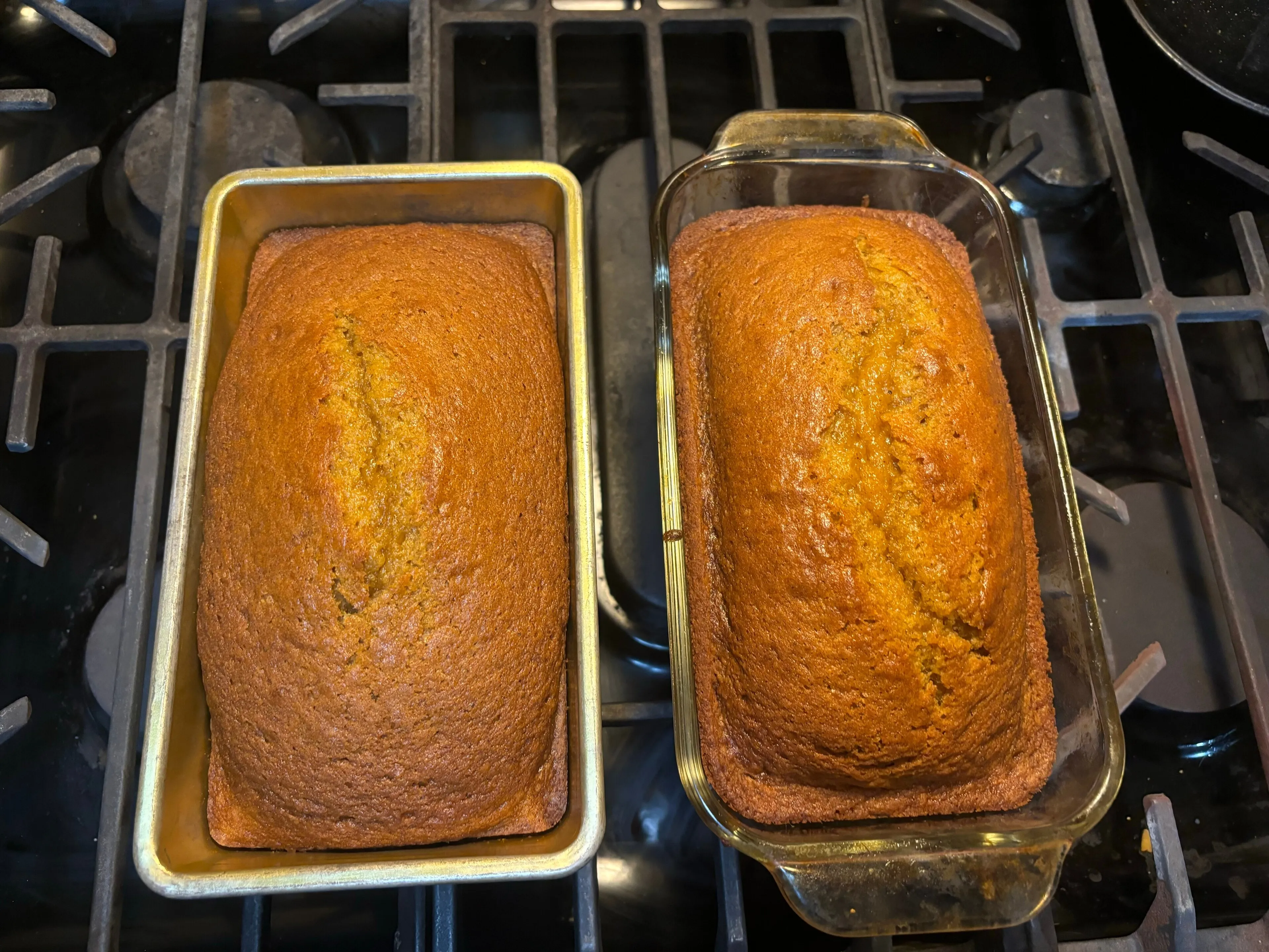 Lilrosiedoll @lilrosiedoll nude onlyfans