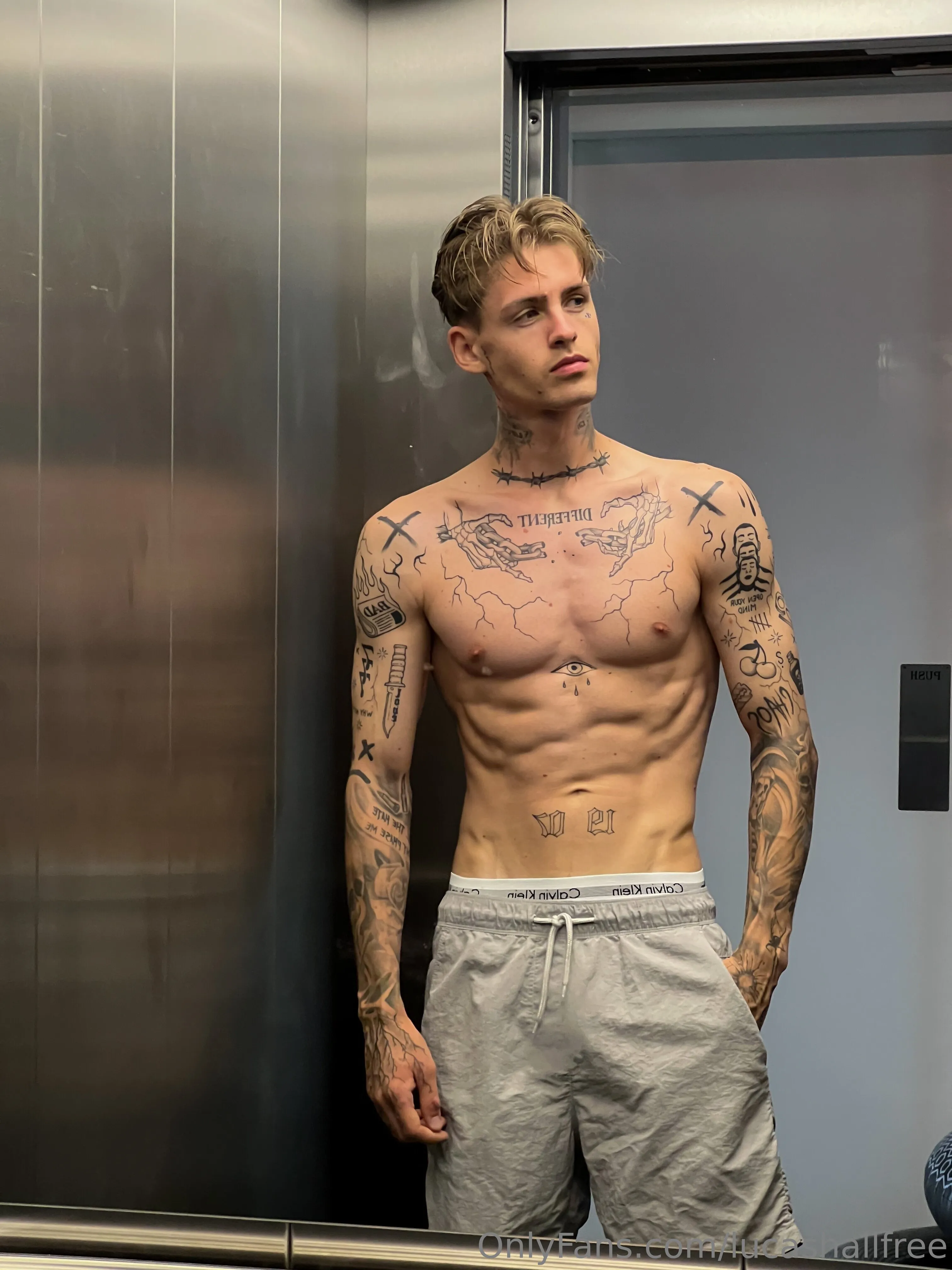 Lucas Hall [FREE] ass