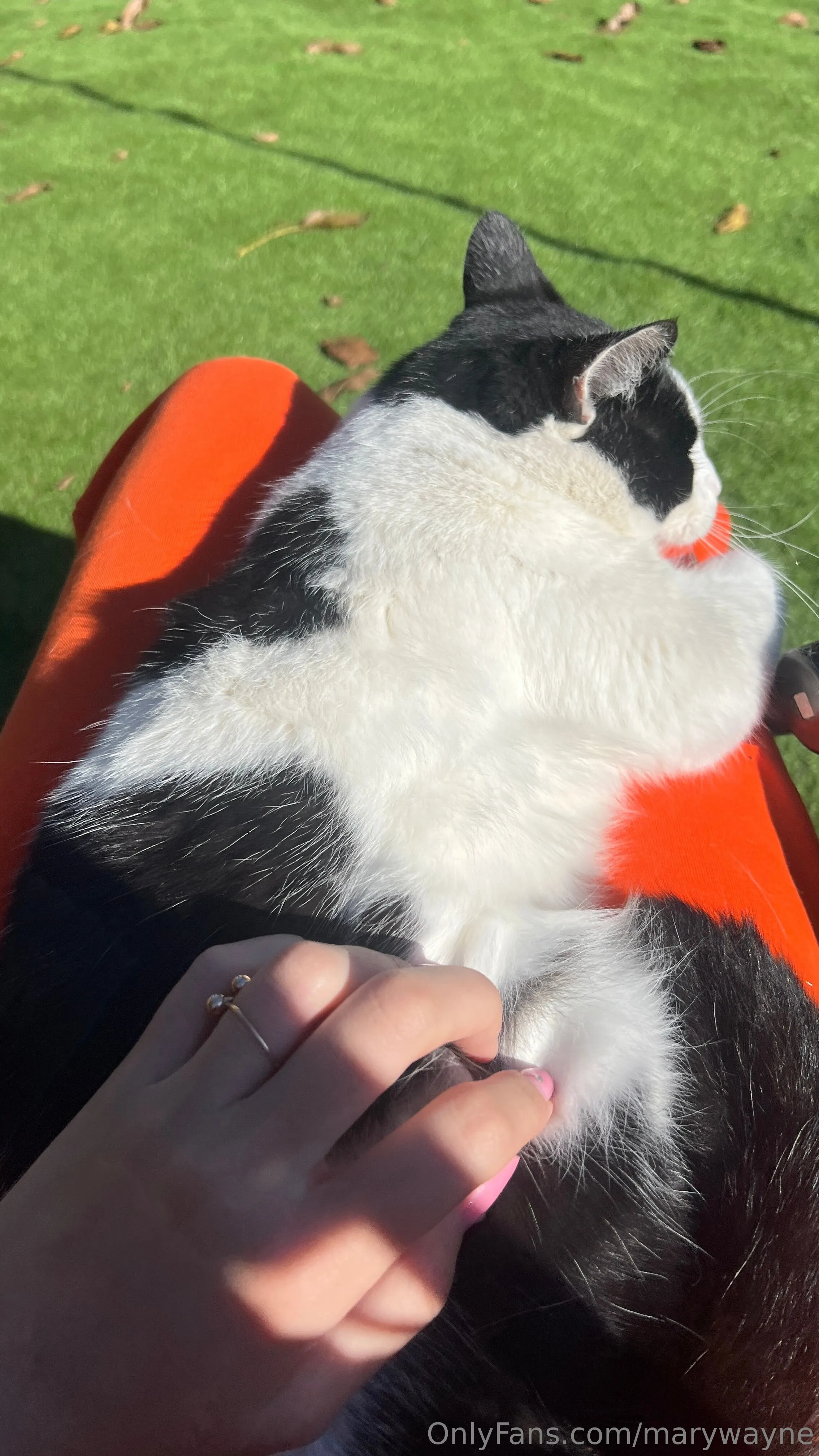 Mary Wayne nudes onlyfans