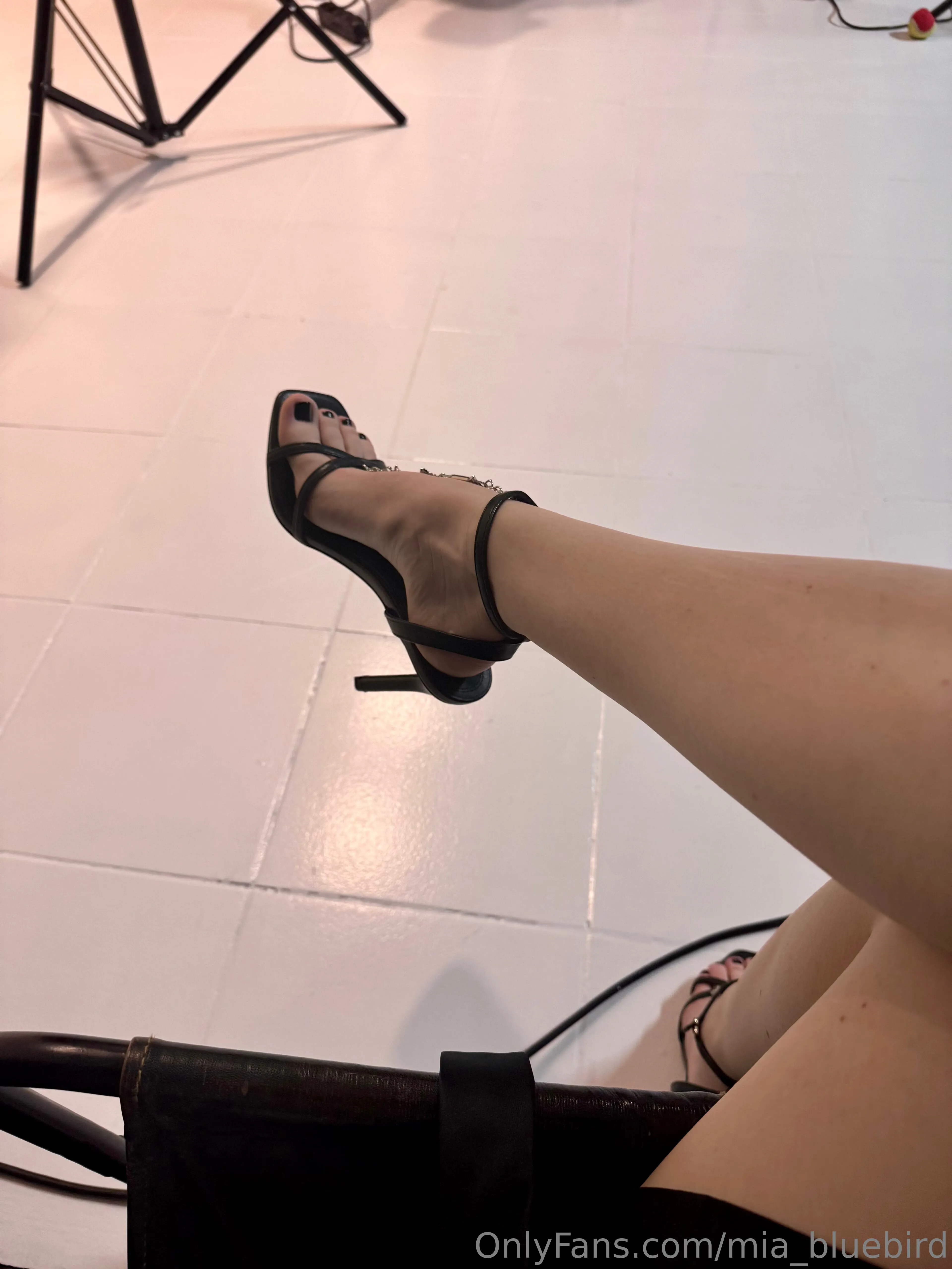 Mia 🤍🎱 Bluebird @mia_bluebird leak porn