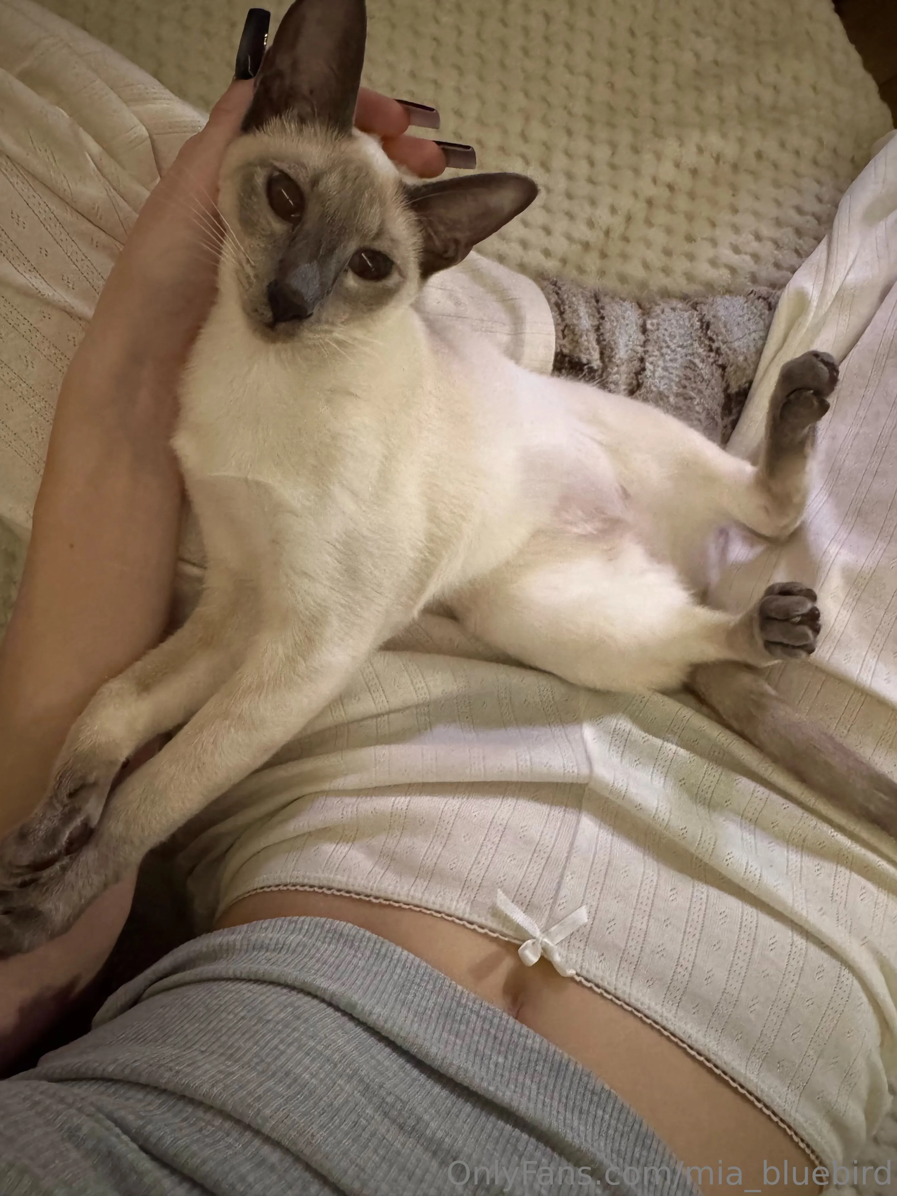 Mia 🤍🎱 Bluebird @mia_bluebird masturbate