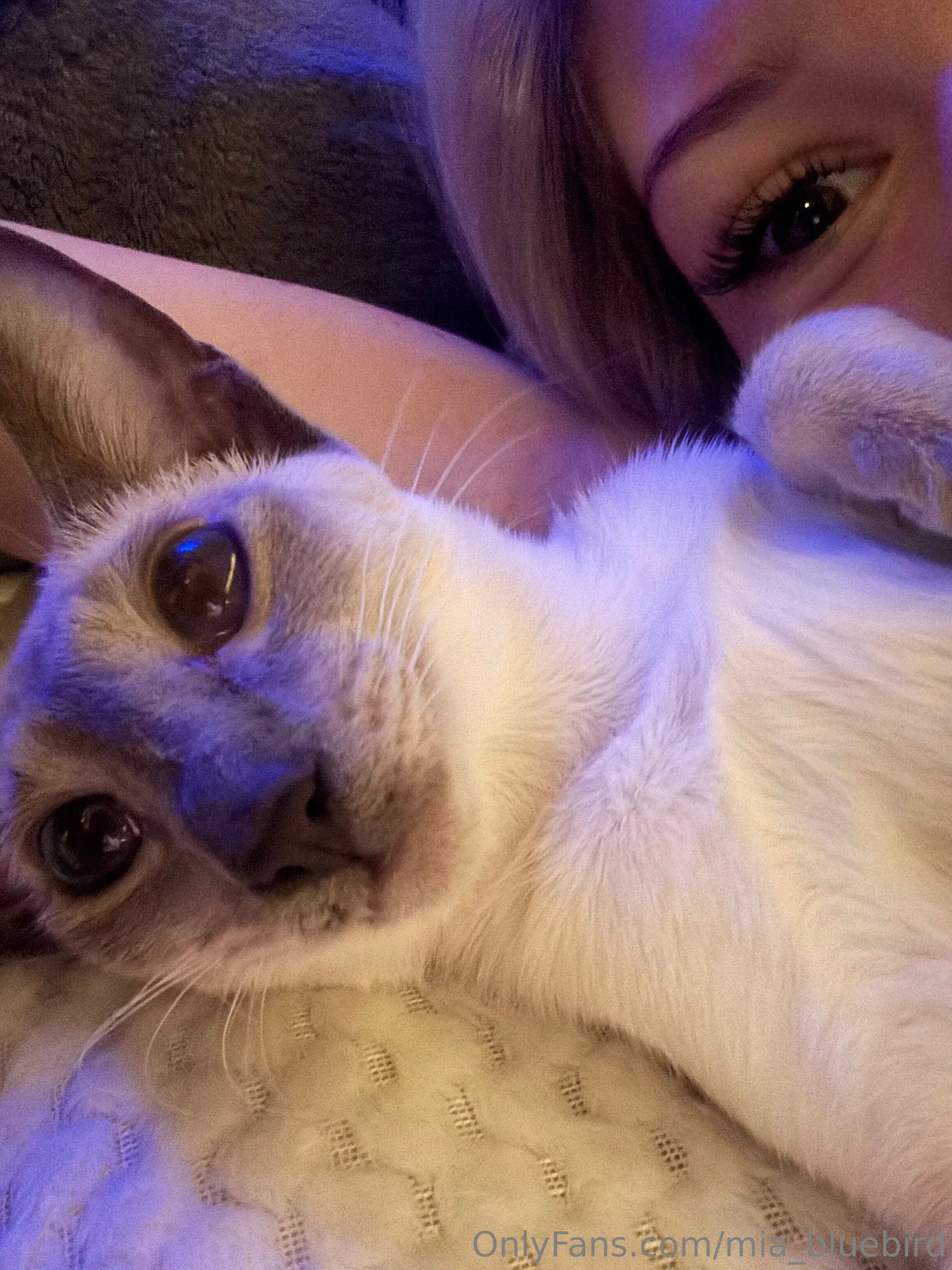 Mia 🤍🎱 Bluebird @mia_bluebird fucks