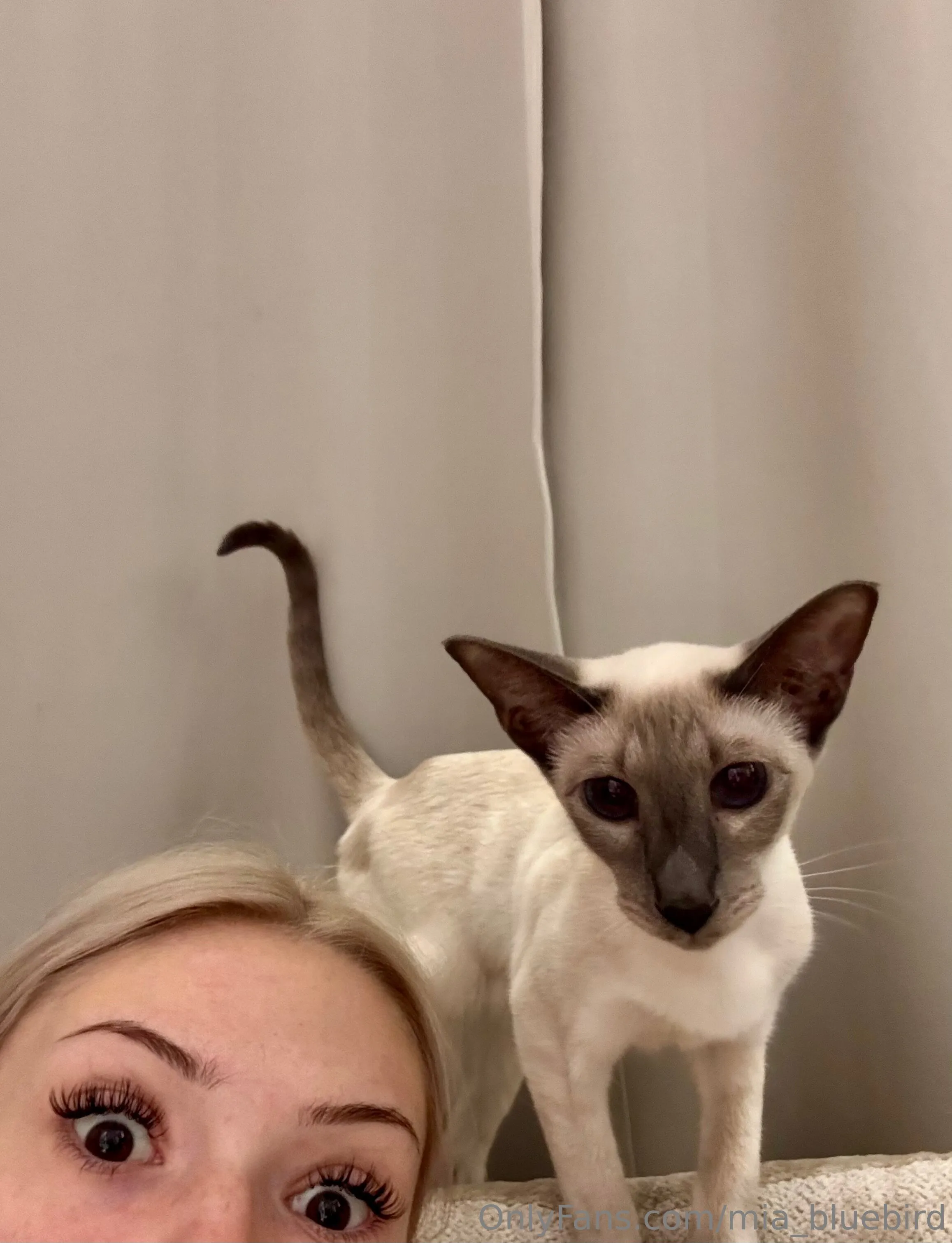 Mia 🤍🎱 Bluebird @mia_bluebird fuck