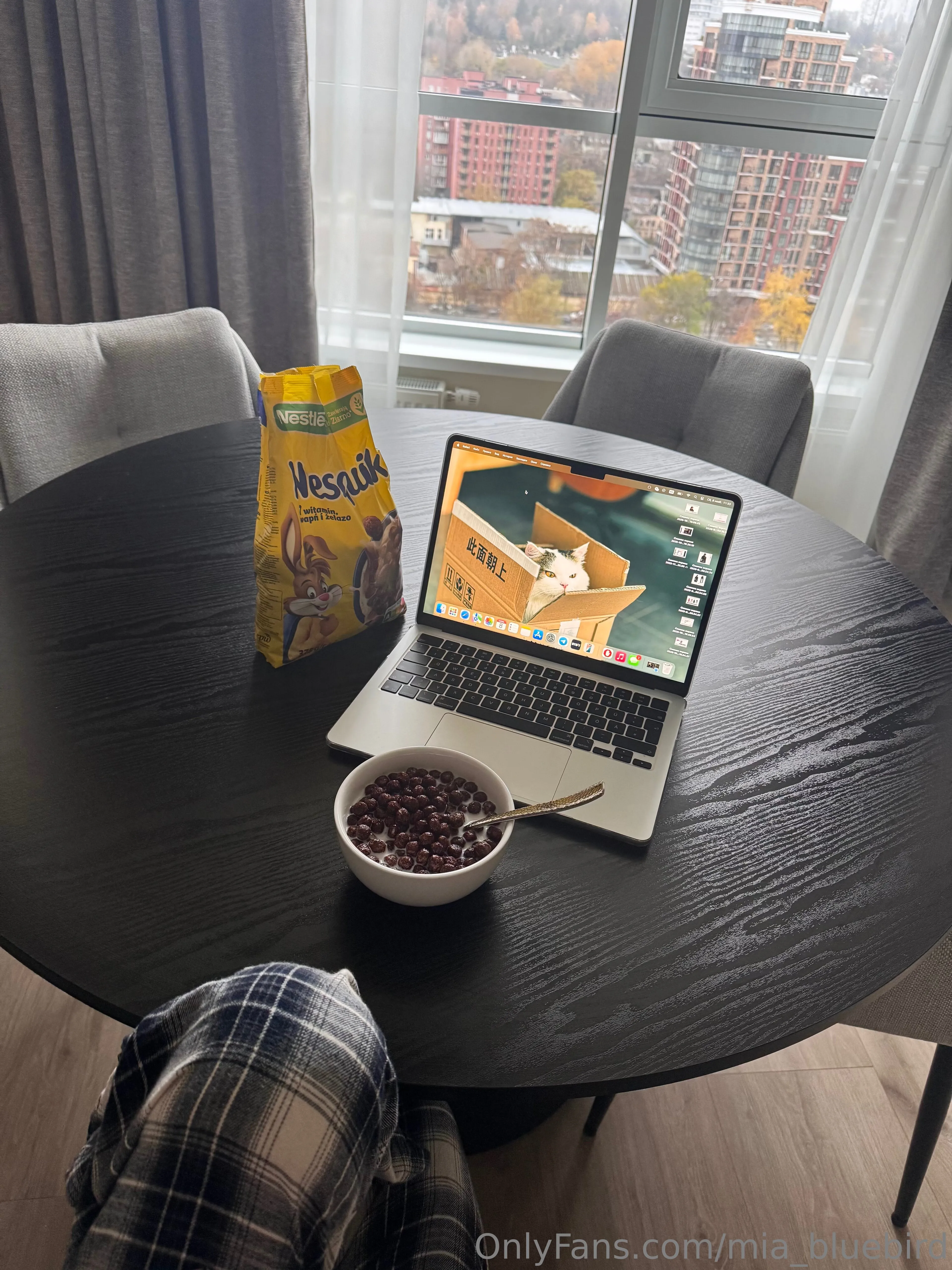 Mia 🤍🎱 Bluebird @mia_bluebird nude porn