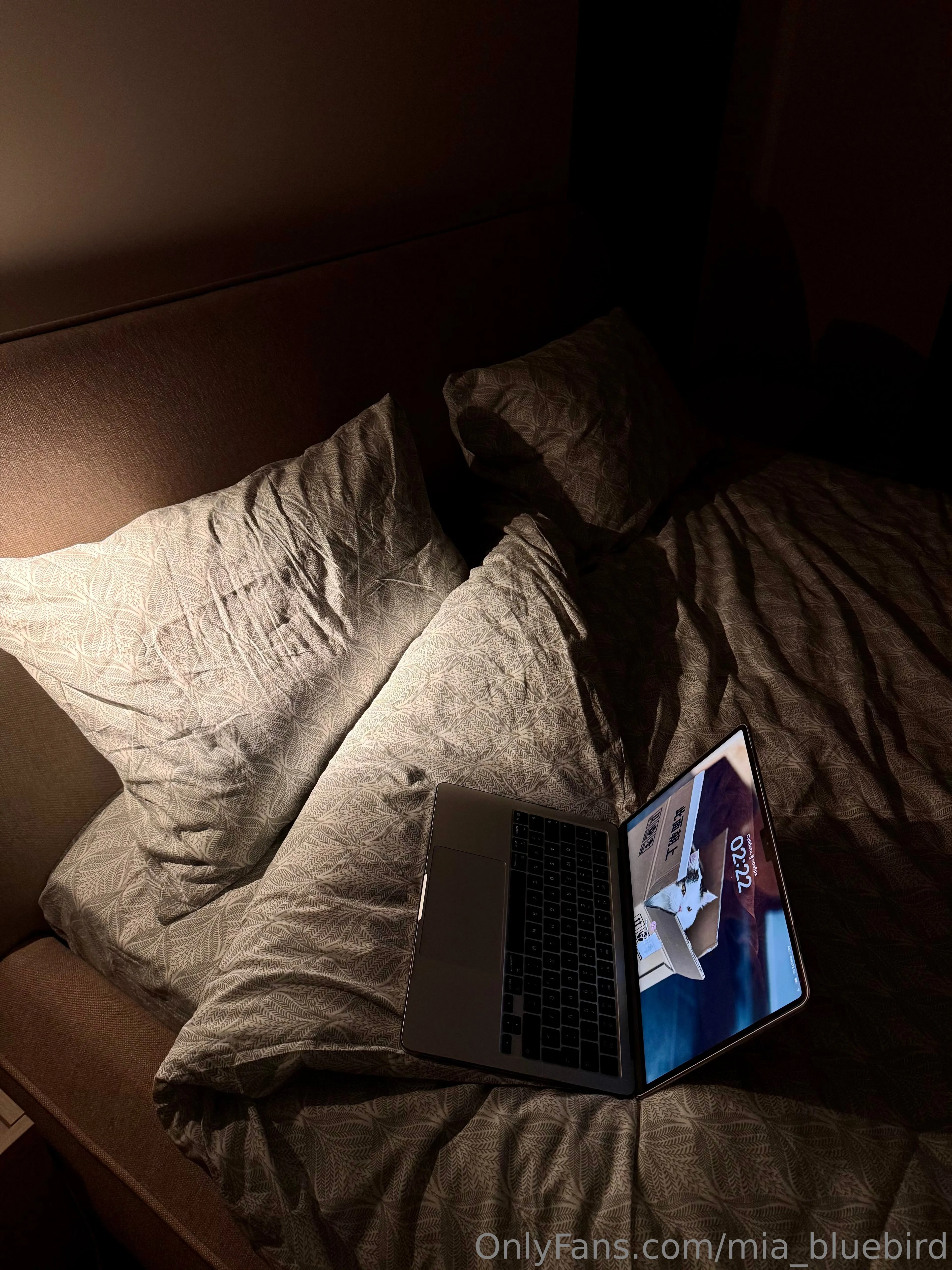 Mia 🤍🎱 Bluebird real name