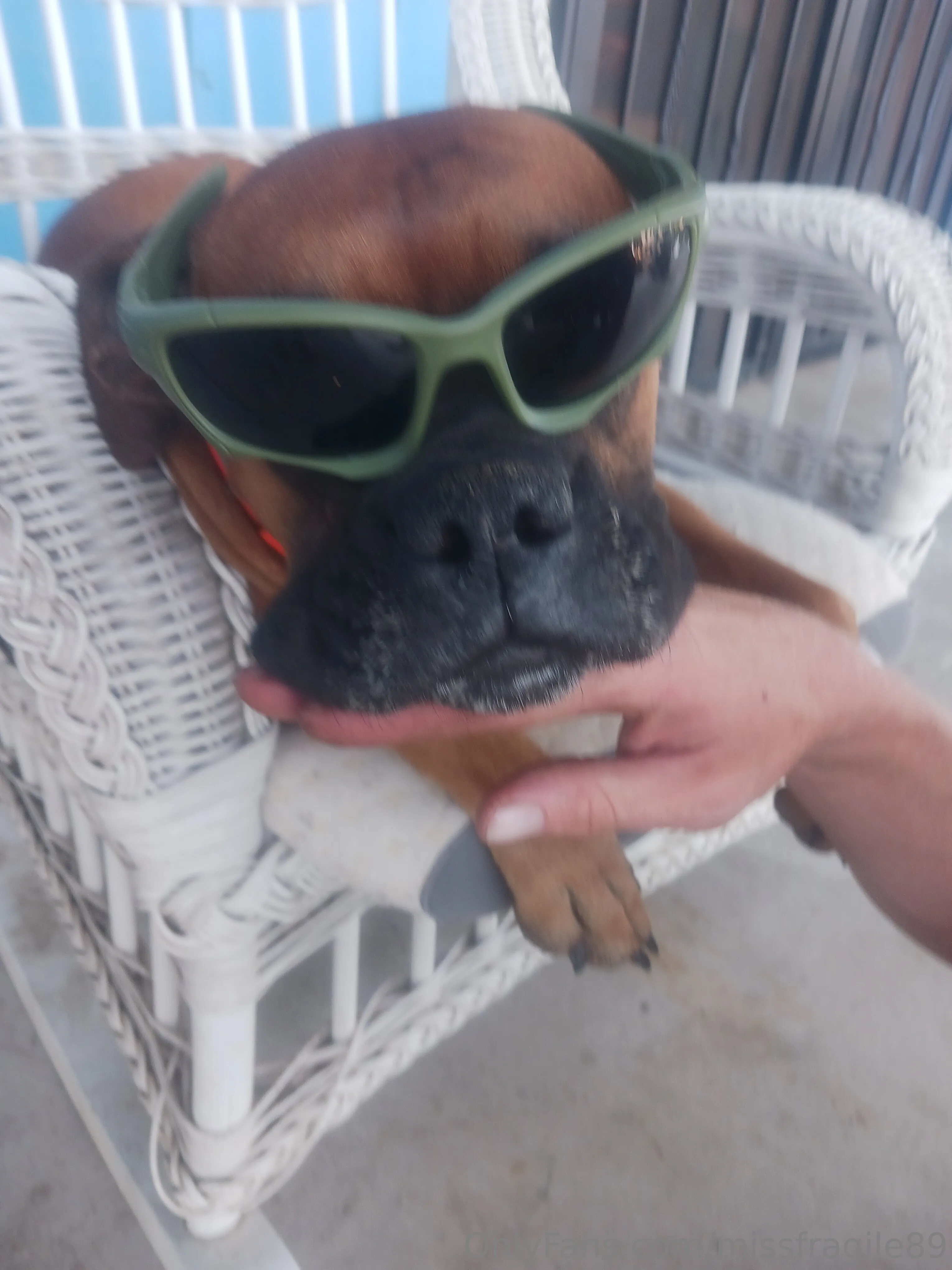 Please help if you can. It's a worthy cause. https://gofund.me/612790c6b. ❤️ 💙 💜 💖