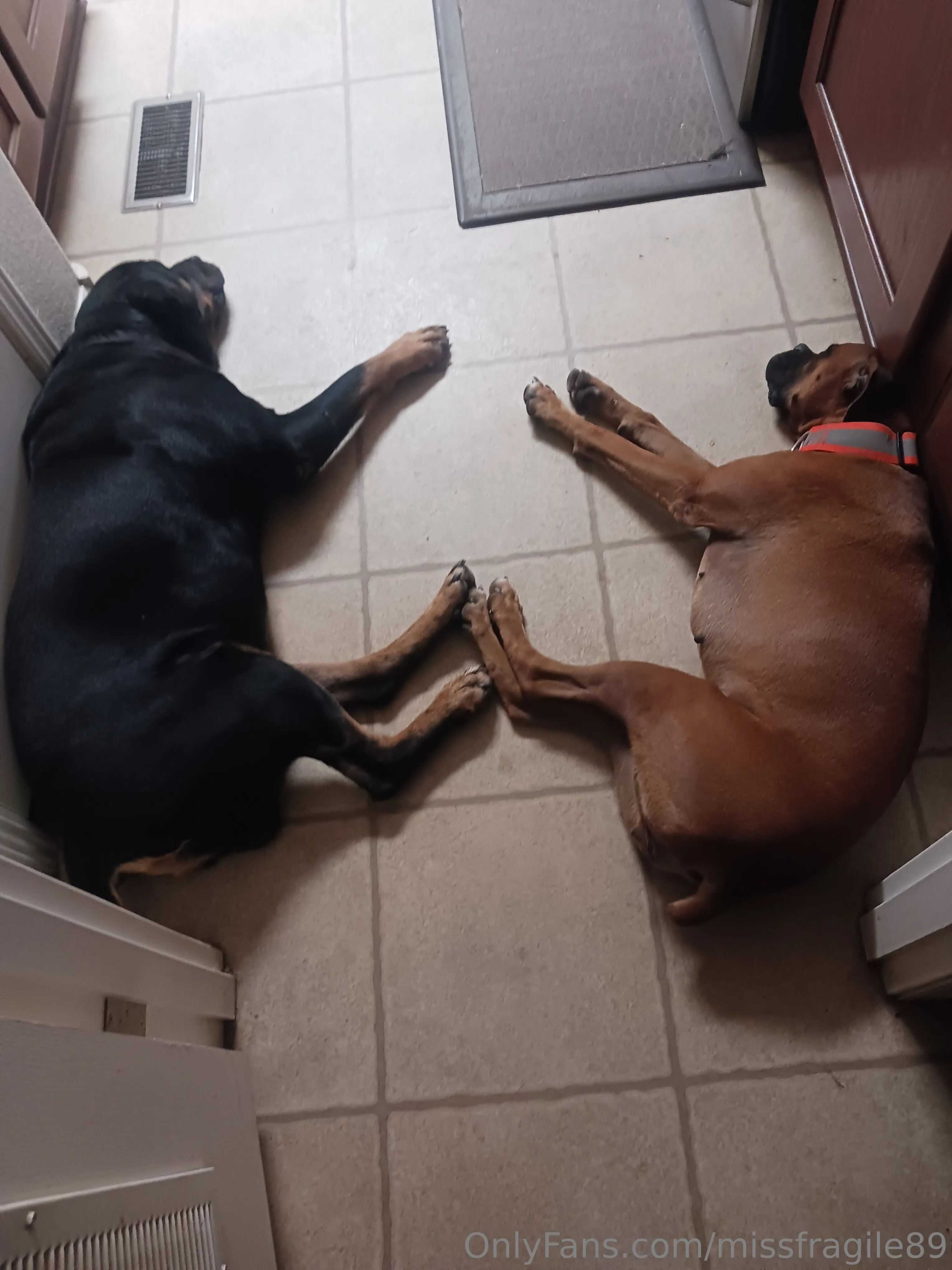 💦💦Miss Fragile💦💦 @missfragile89 pornvideos