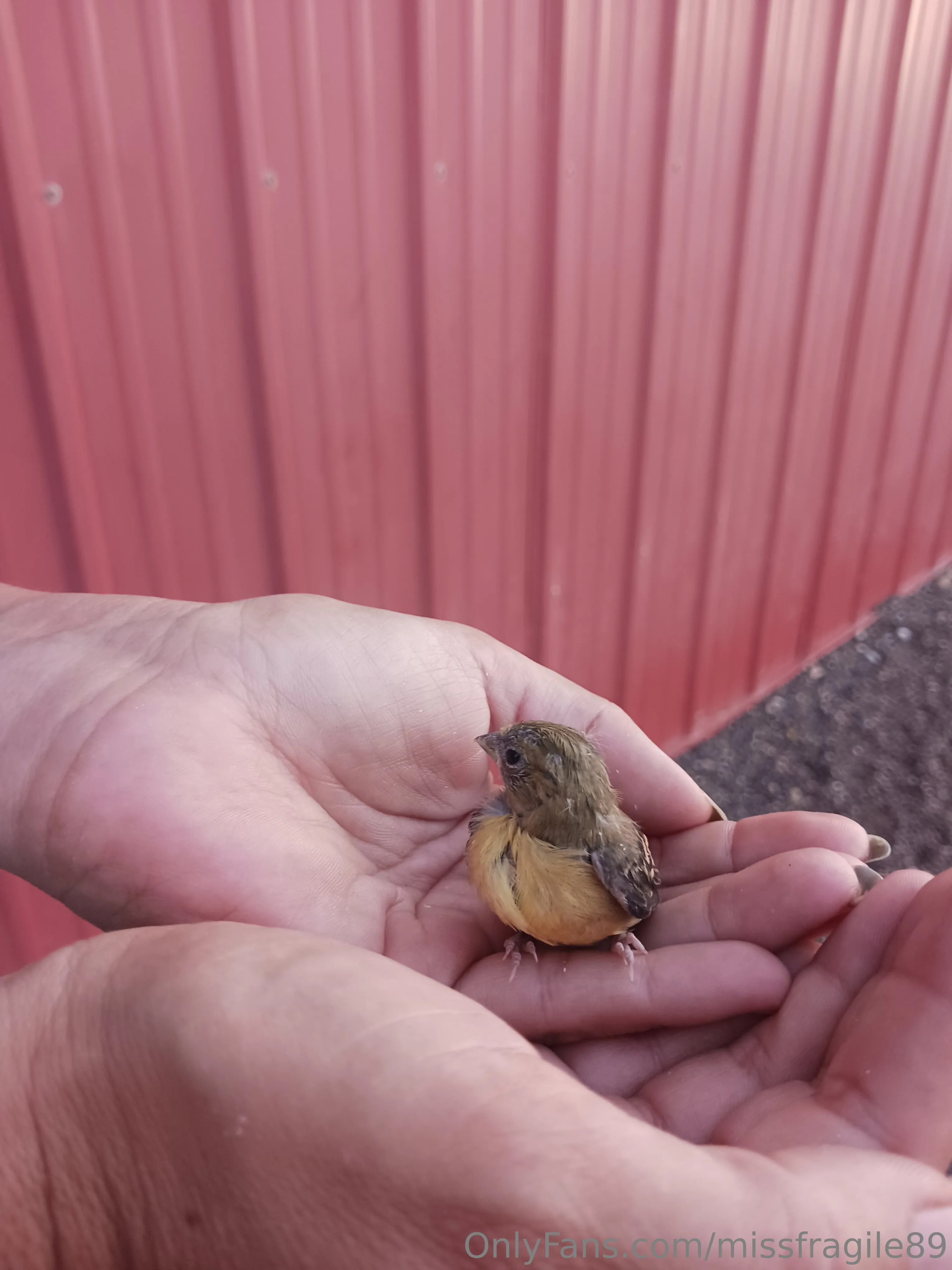 💦💦Miss Fragile💦💦 @missfragile89 sex rough