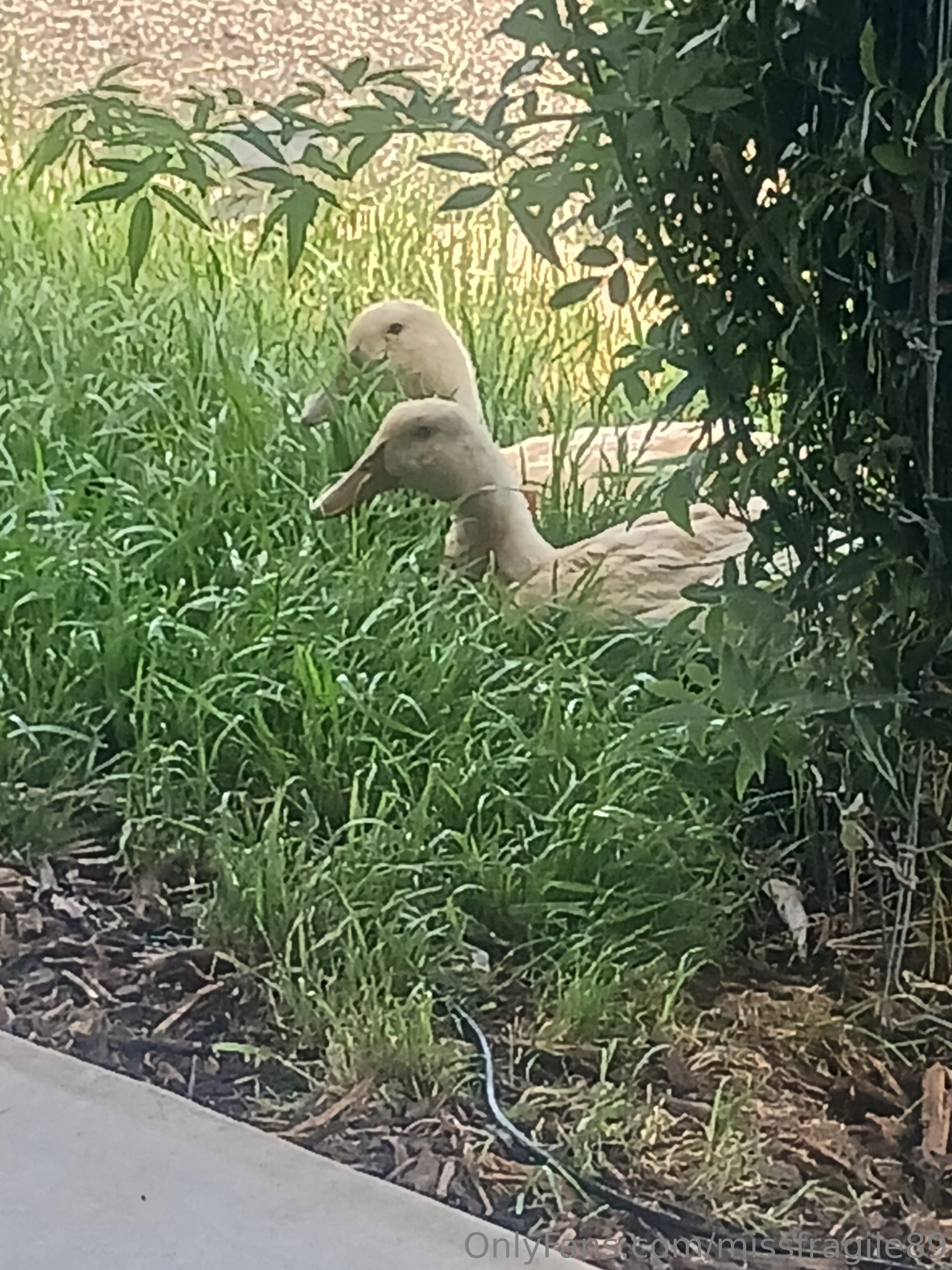 💦💦Miss Fragile💦💦 @missfragile89 death