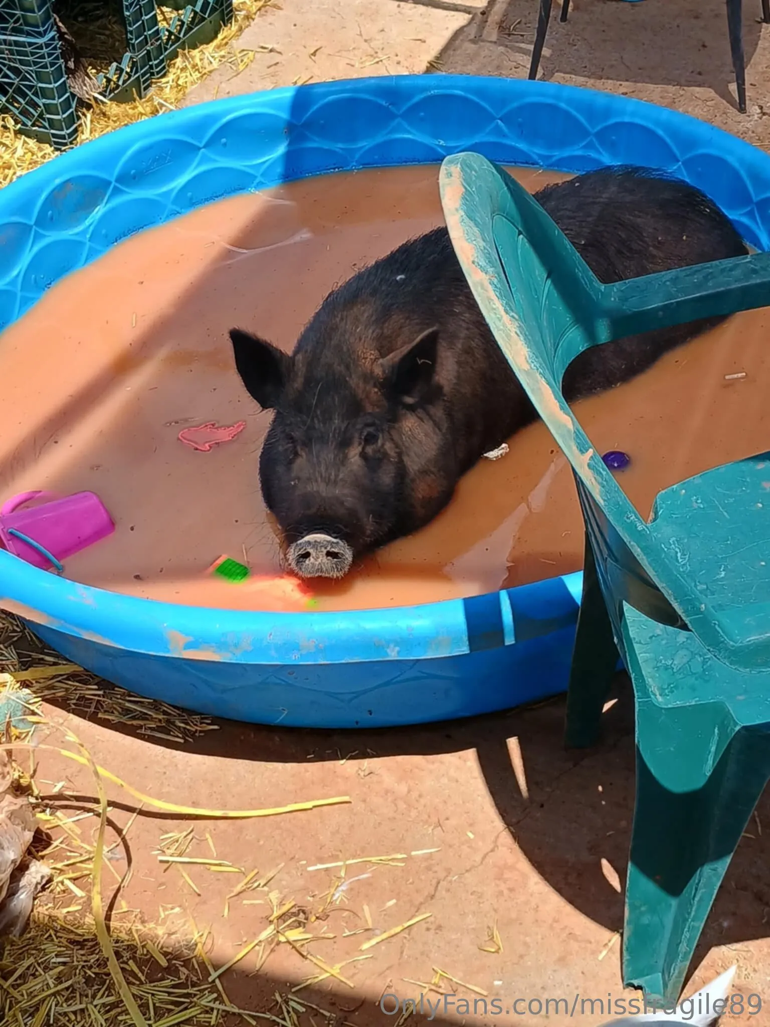 💦💦Miss Fragile💦💦 @missfragile89 jane molly