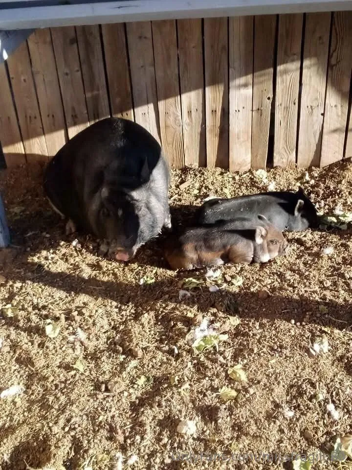 💦💦Miss Fragile💦💦 sexy photos