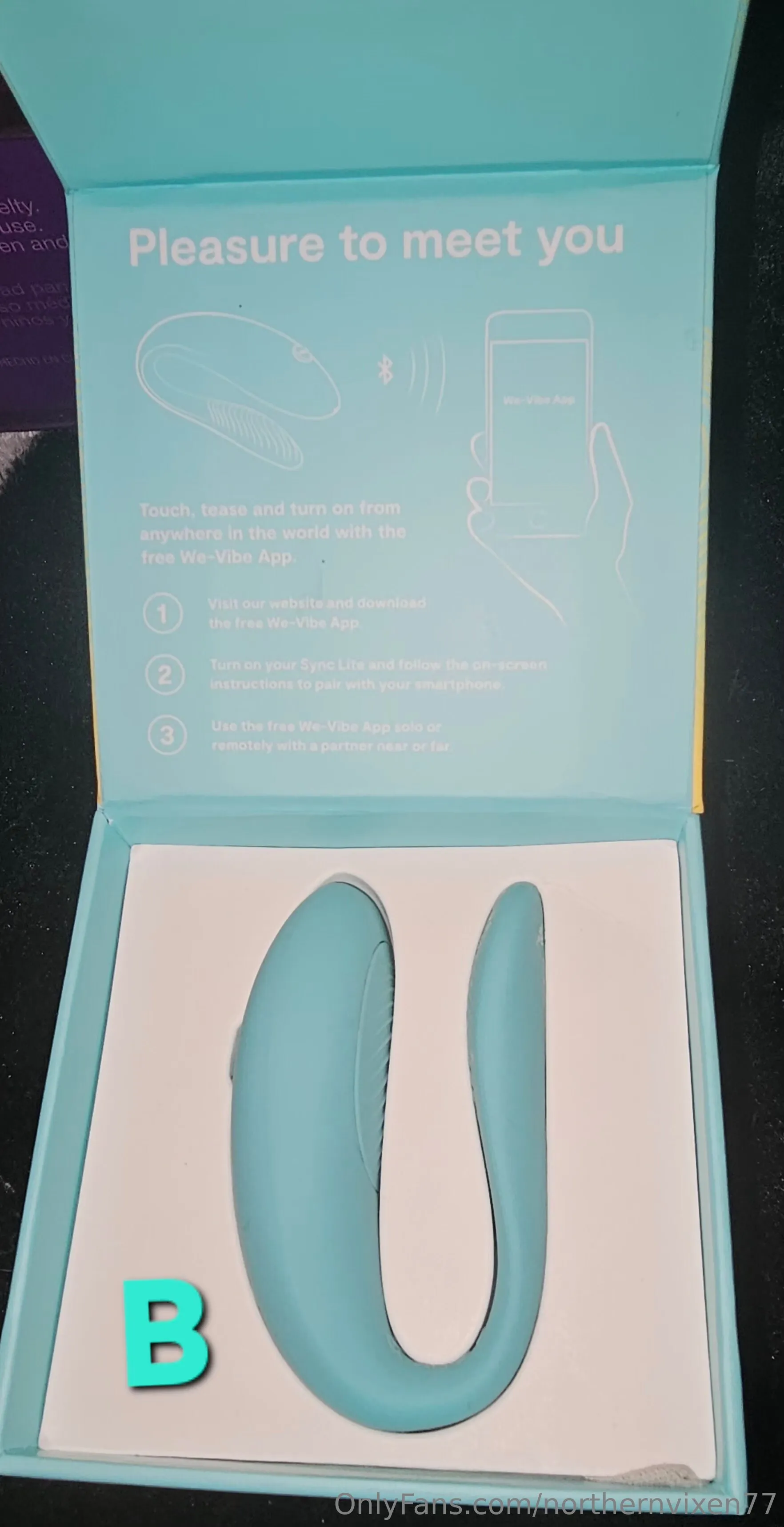 NorthernVixen77 incest