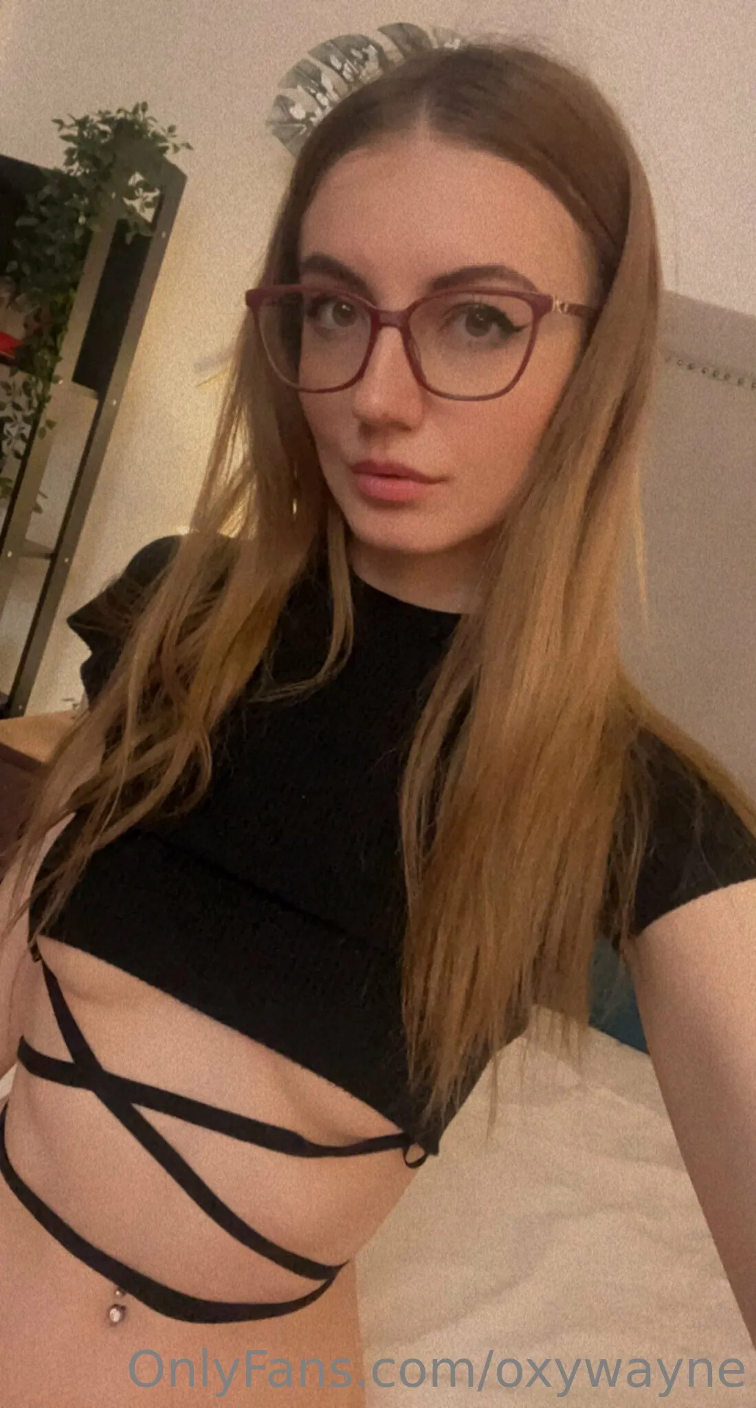 Oxy Wayne