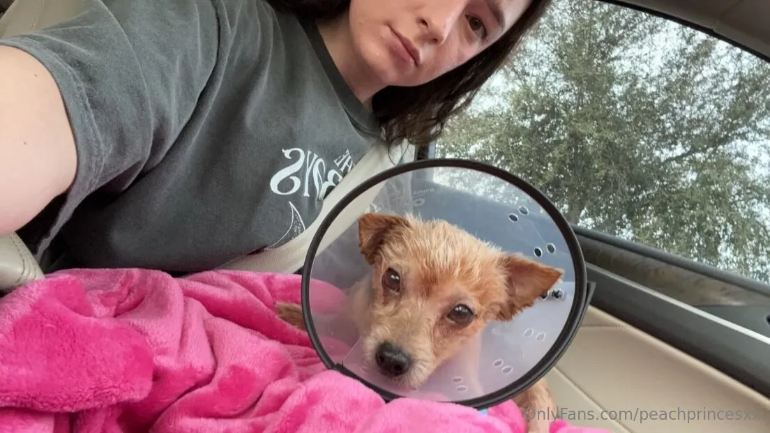 Ashley 💞 @peachprincesxx sex