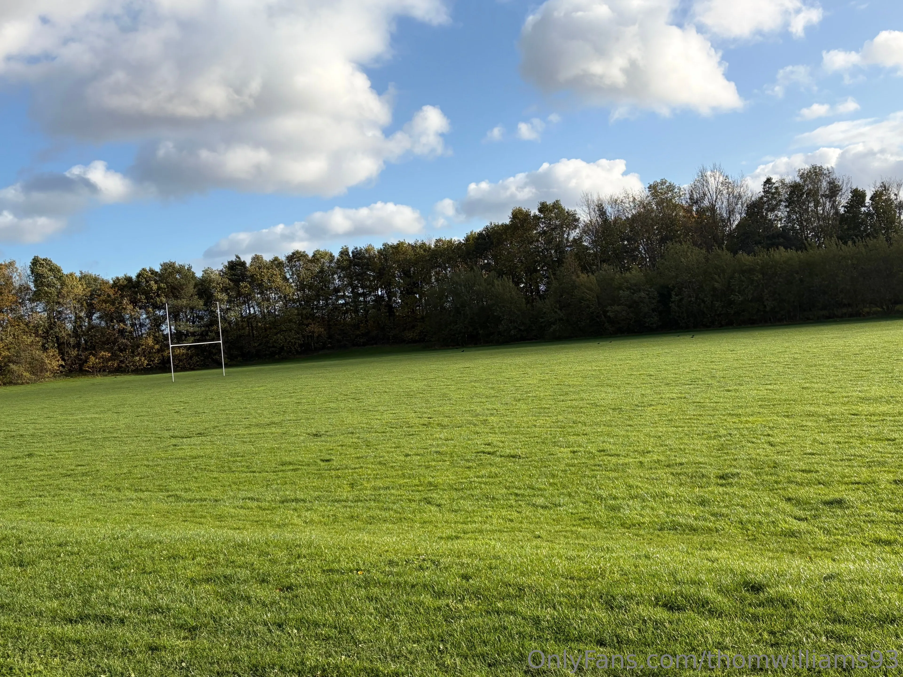 Thomas Williams @thomwilliams93 bickett naked