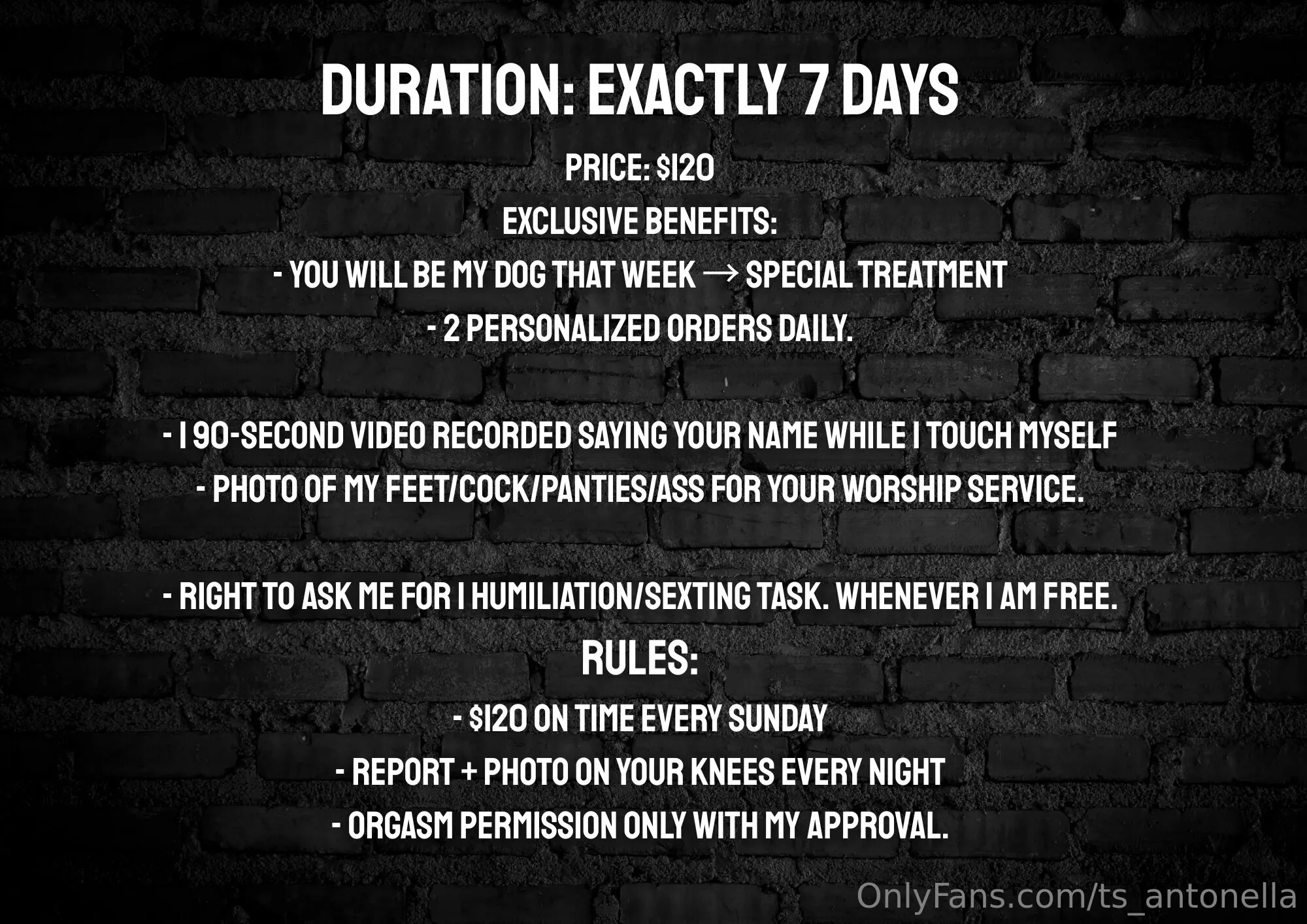 COCK WORSHIP🖤Antonella Noir🖤 @ts_antonella instagram