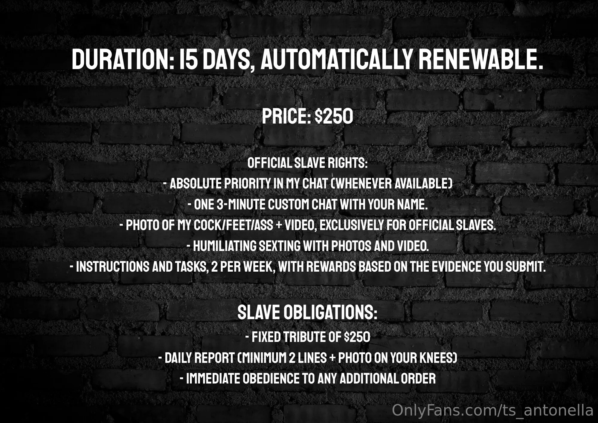 COCK WORSHIP🖤Antonella Noir🖤 @ts_antonella nude angie