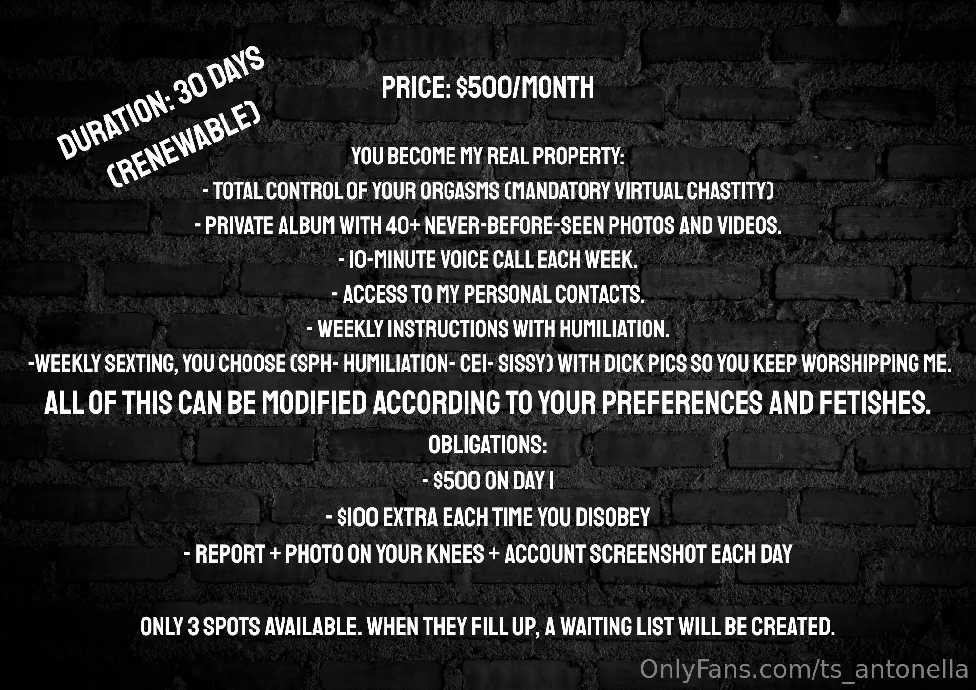 DO YOU THINK YOU DESERVE MY ATTENTION?Then choose your cage:$120/week → Obedient dog with daily commands$250/15 days → O