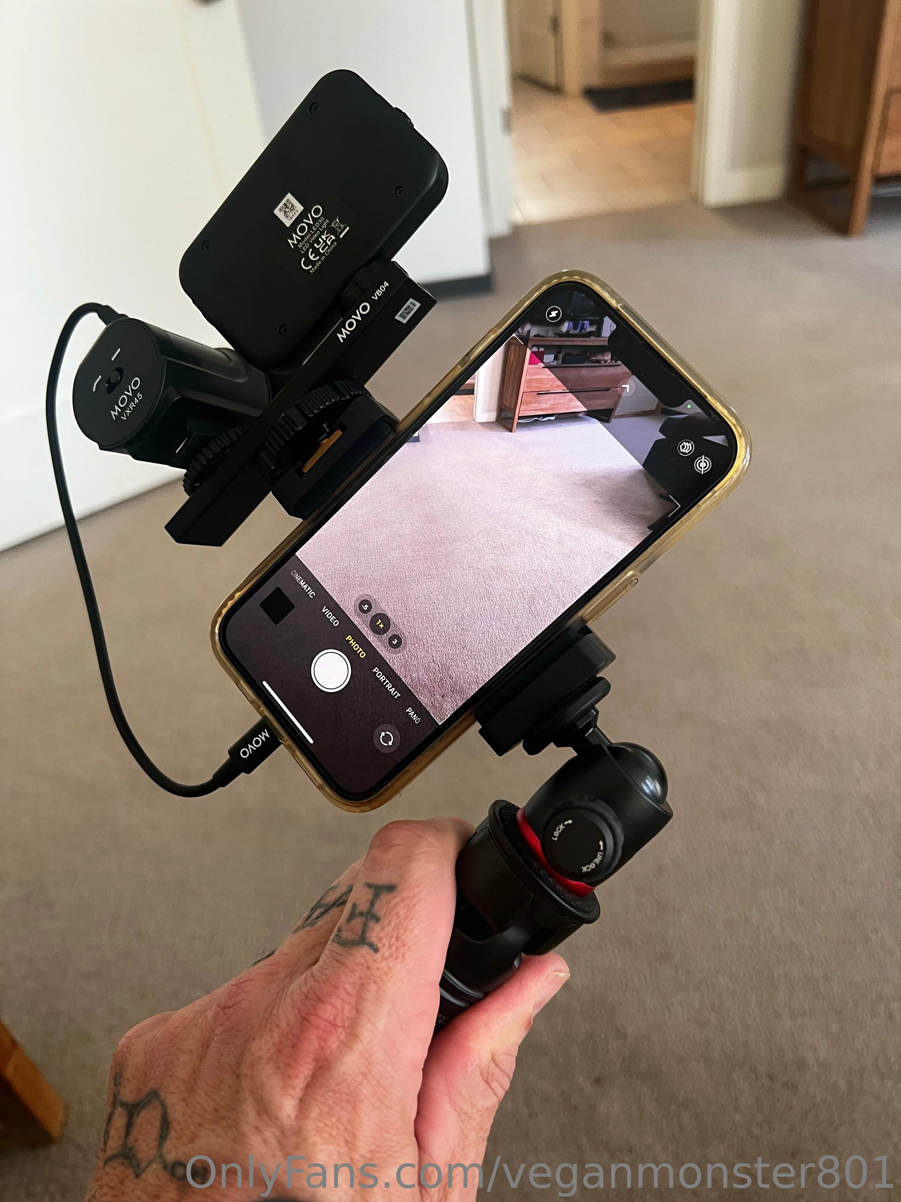 VEGANMONSTER🌱 @veganmonster801 twitter