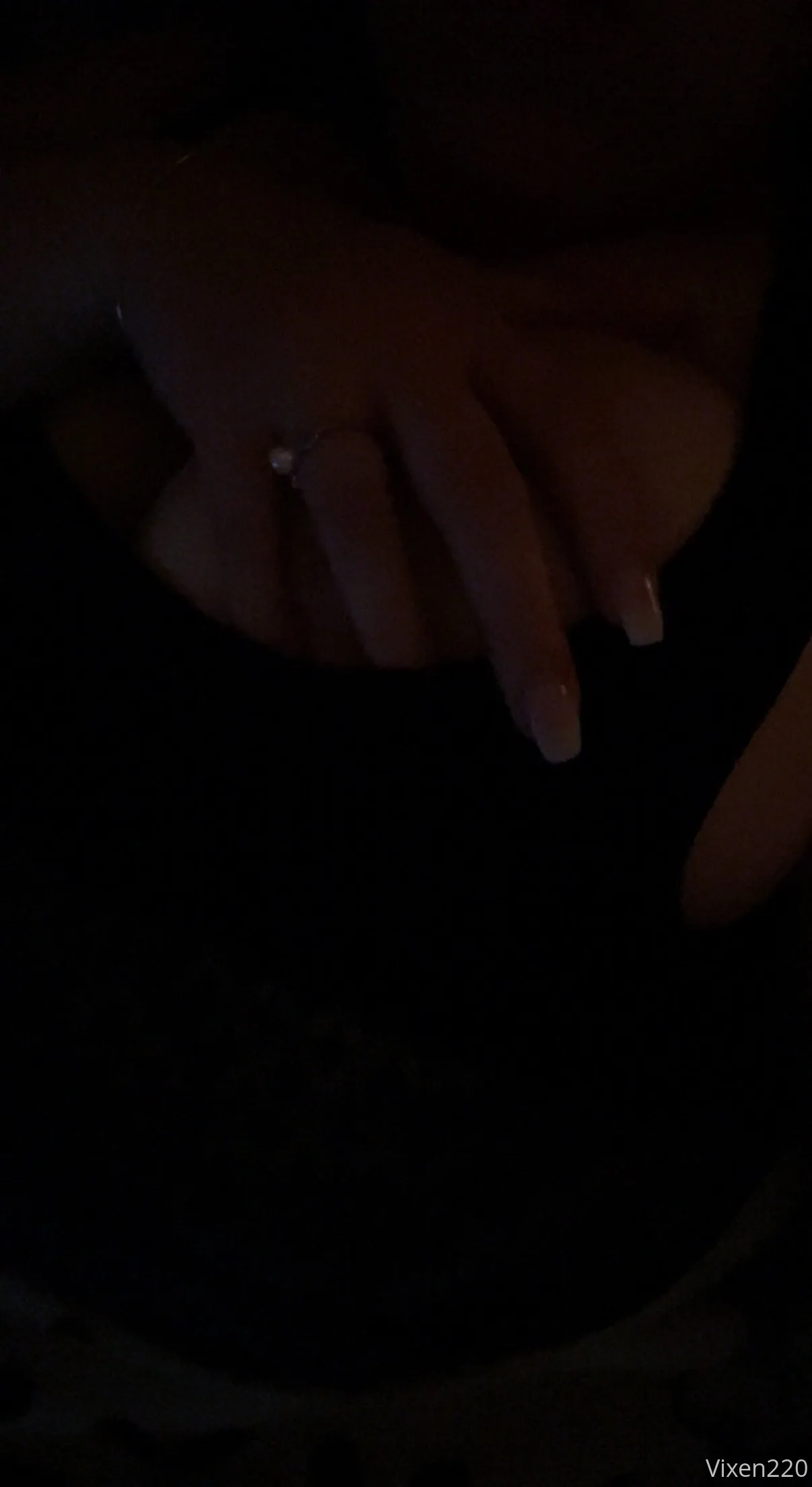 Vixen @viviaciousvixen220 police officer